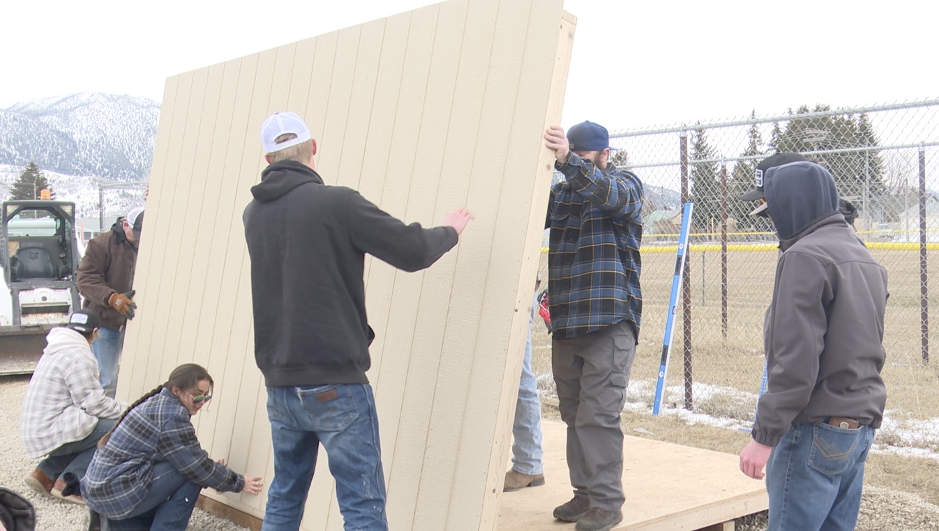 SHED BUILDERS.jpg