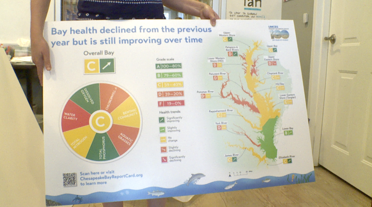 Screenshot 2025-06-11 at 3.31.55 PM.png