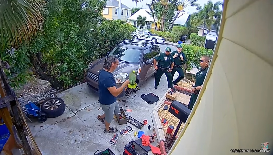 PARROT POLICE CALL.jpg
