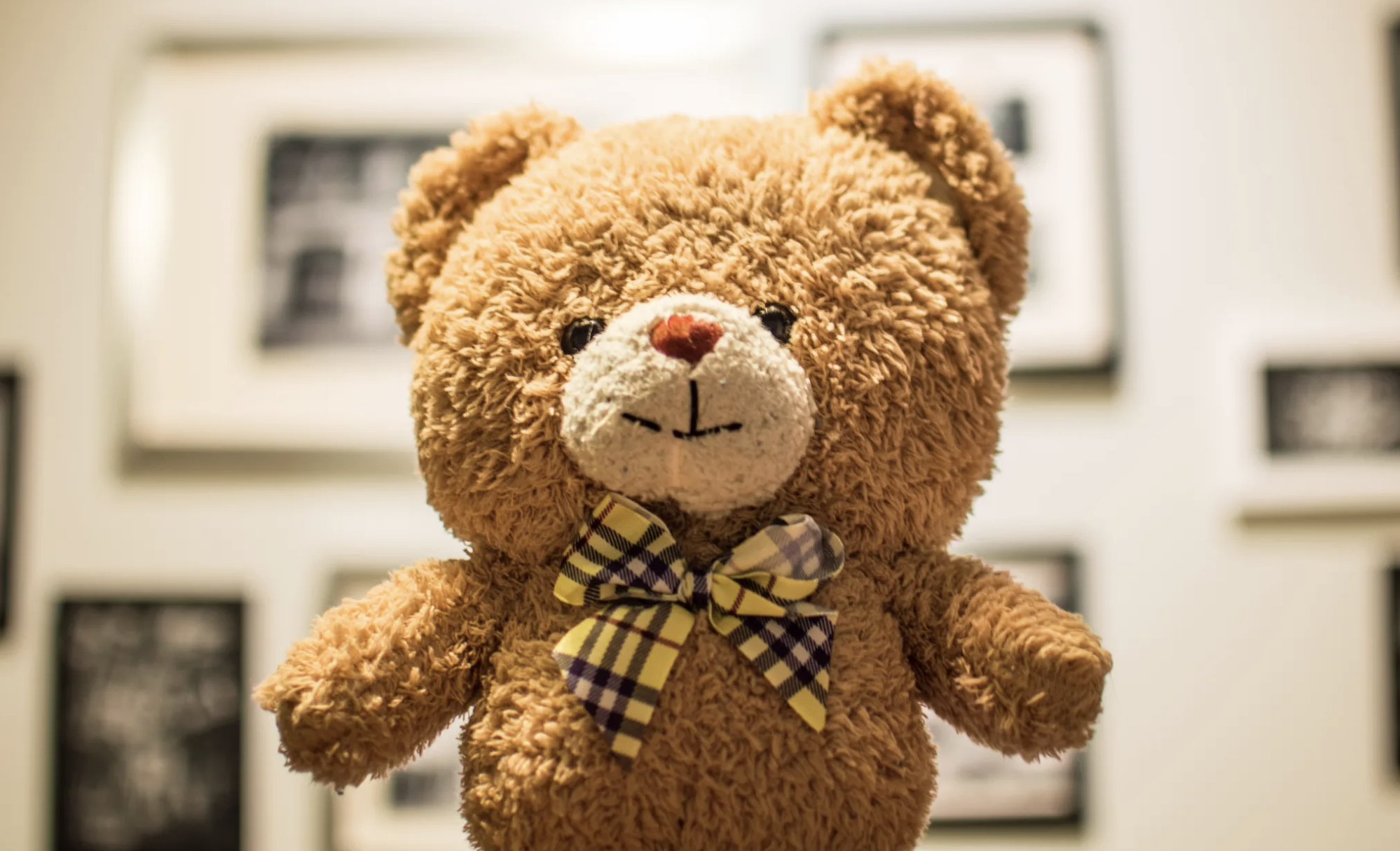 generic stuffed animal