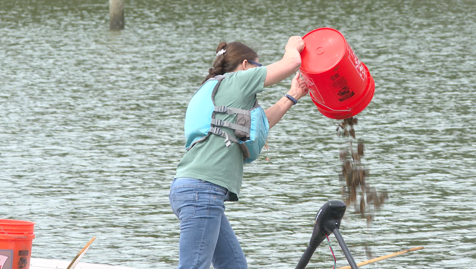 HCS oyster school project