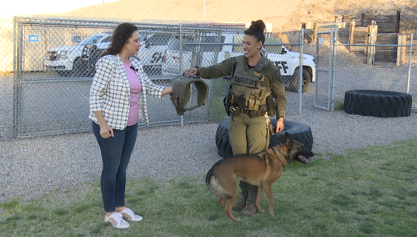 Together Saving Paws donated 5 vests to PCSD K-9 unit