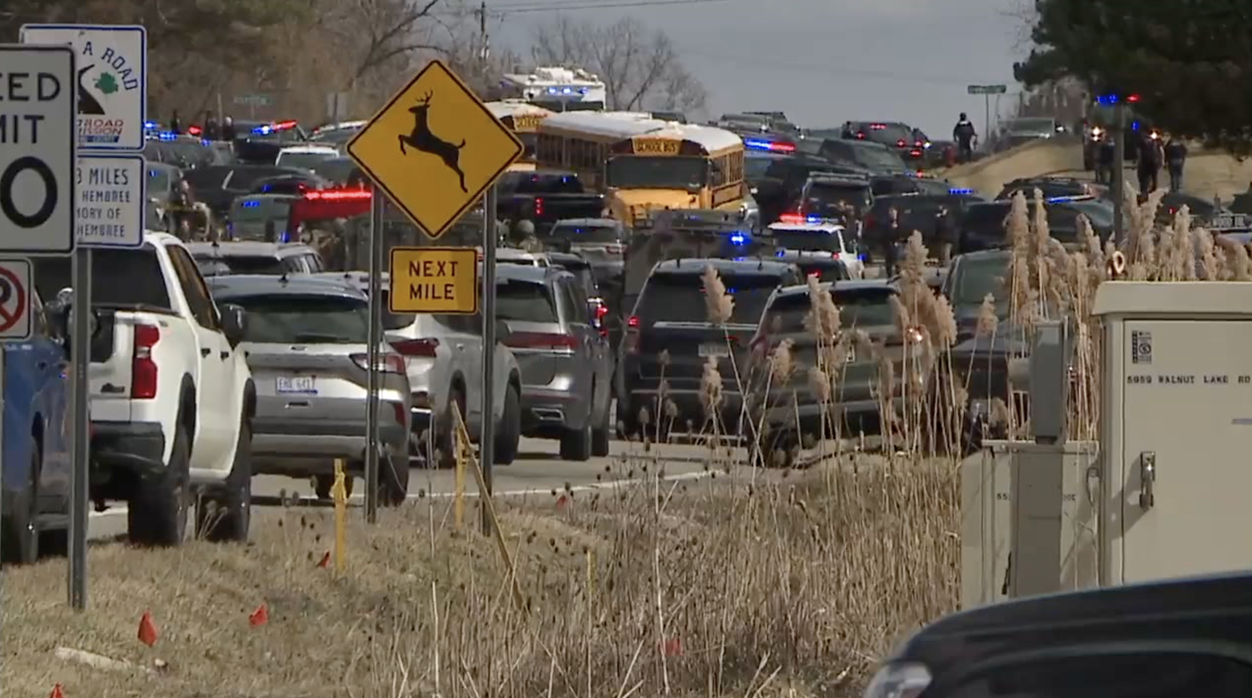 Screenshot 2026-03-12 at 8.19.32 PM.png