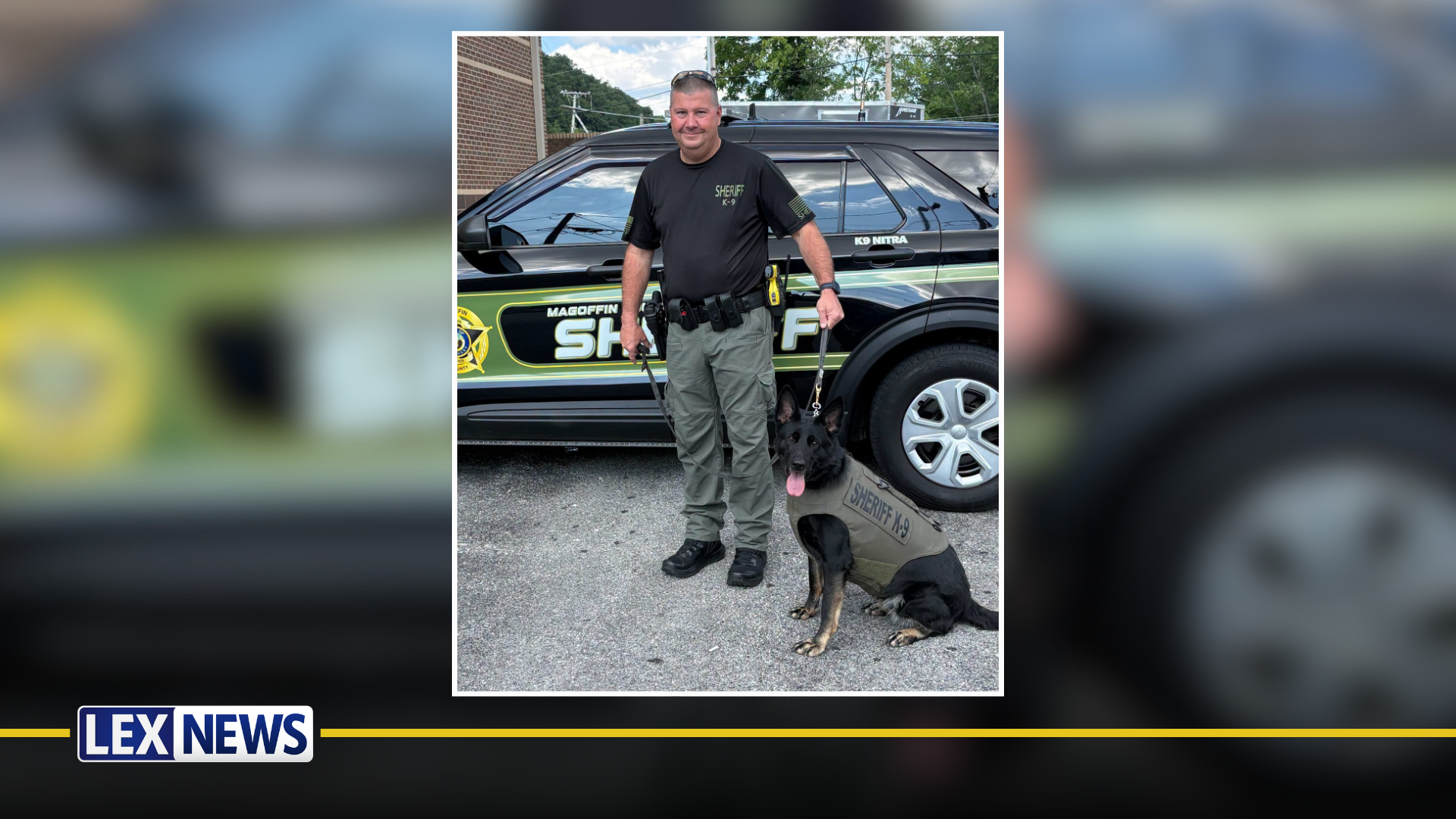 Nitra the K9 receives donated vest provided by Vested Interest in K9s