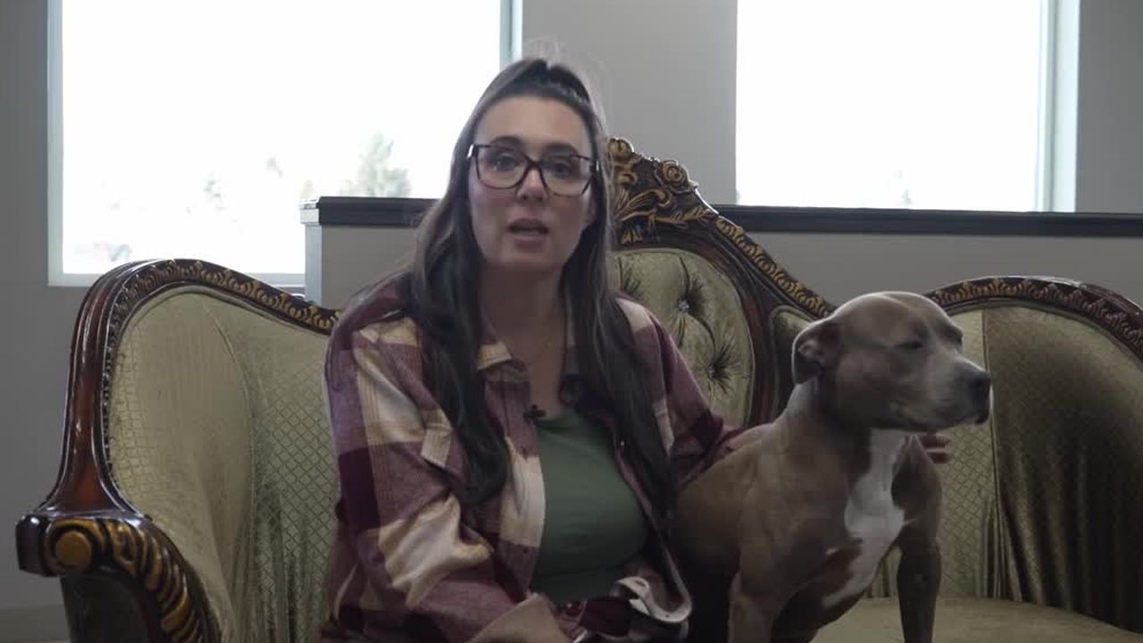 Pawsitive Impact: Montana Pittie Project impact in central Montana