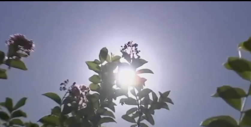 Valdosta prepares for summer fun as officials warn residents to stay safe in extreme heat