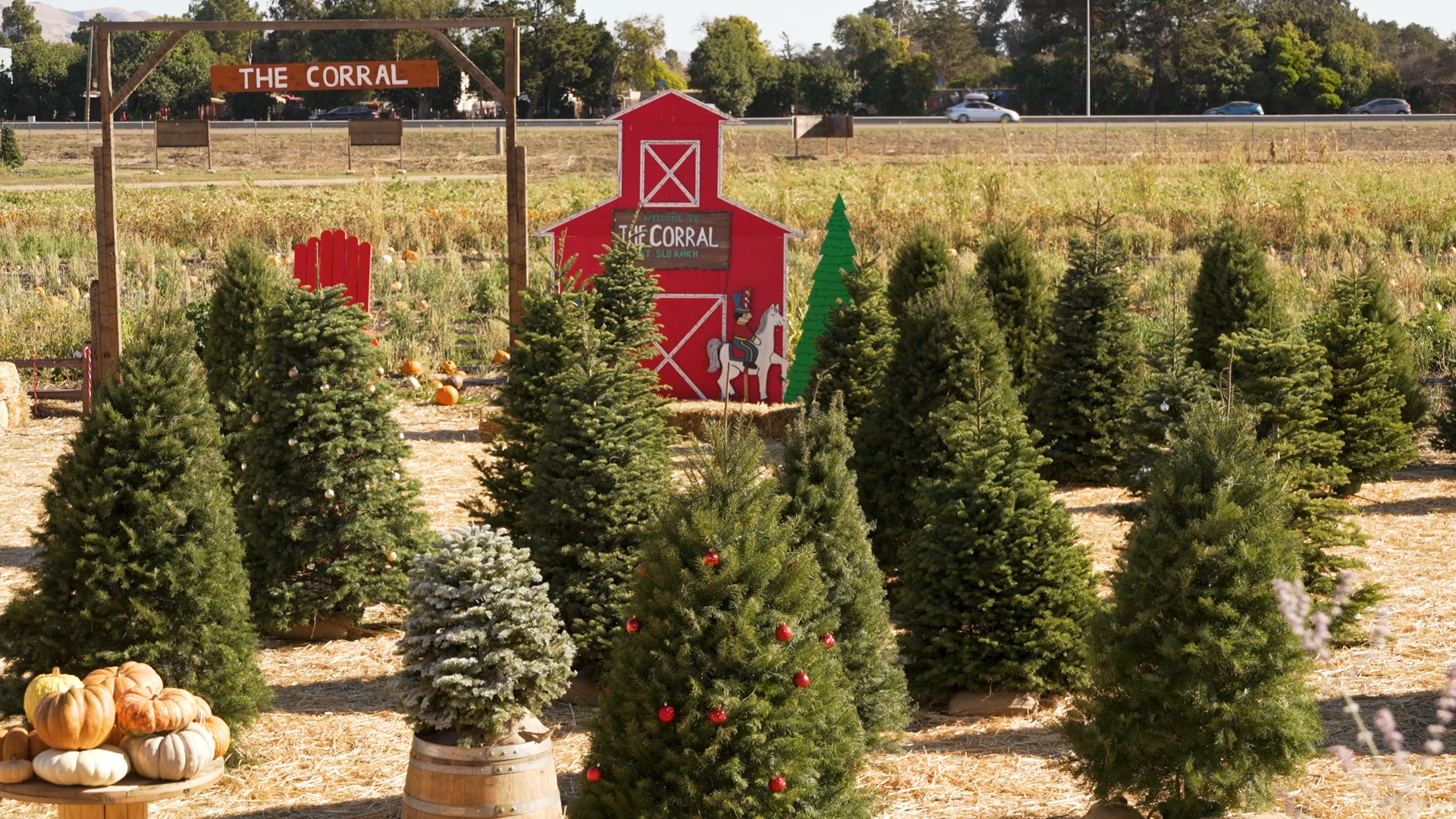 SLO RANCH FARMS XMAS SVO.00_00_19_01.Still001.png