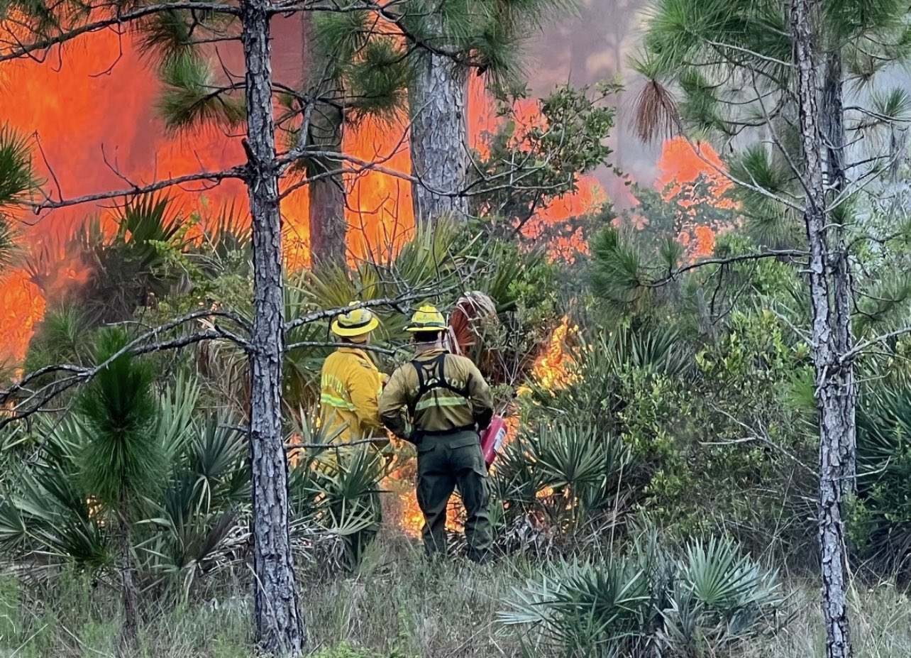 Martin County Wildfire 08032022.jpeg