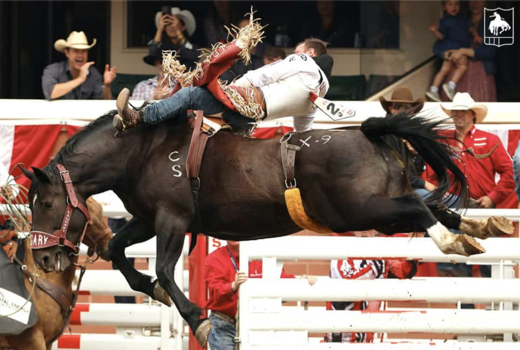O'Connell Stampede 21.png