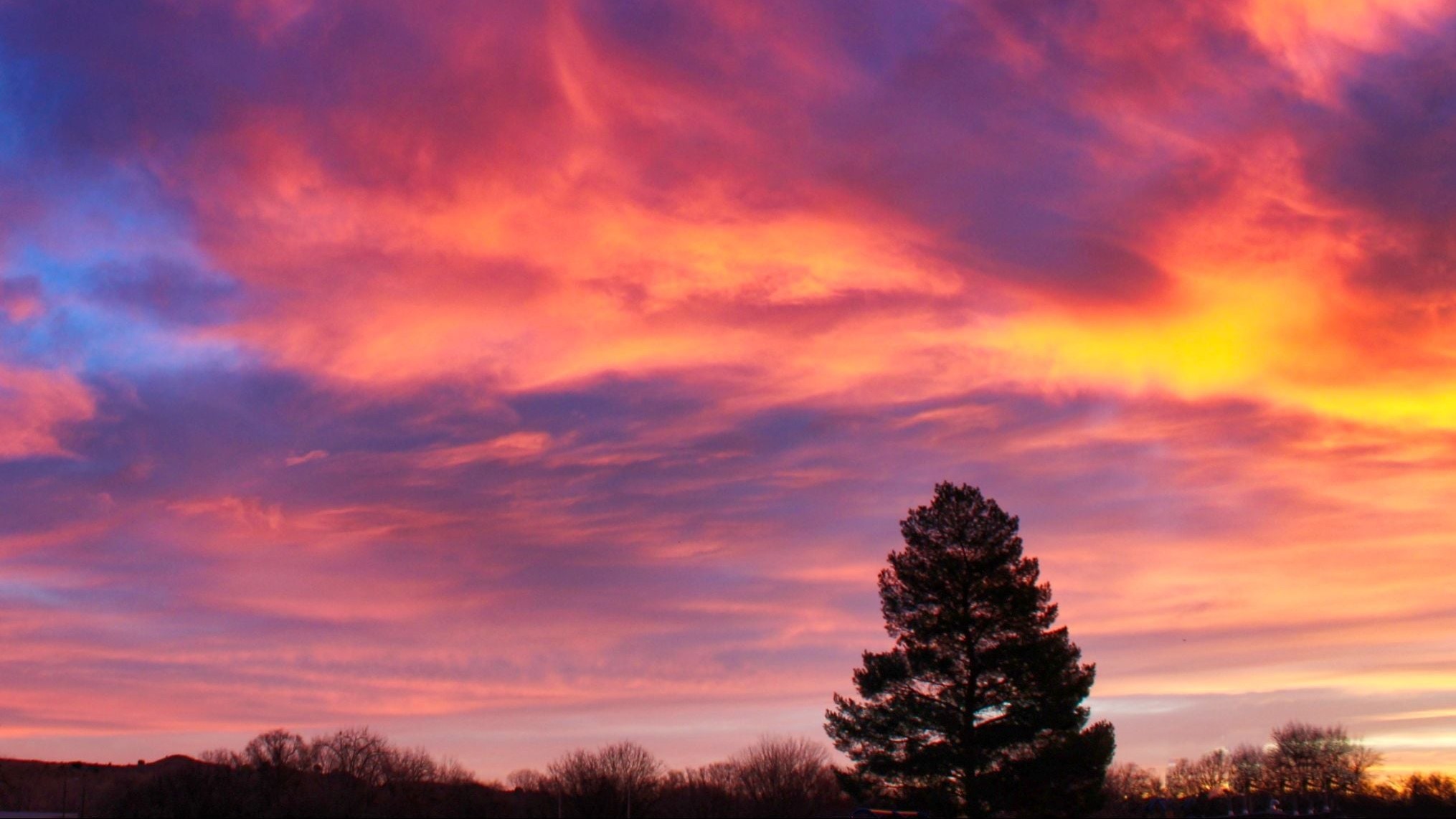 Florence sunrise Carol Gebhart