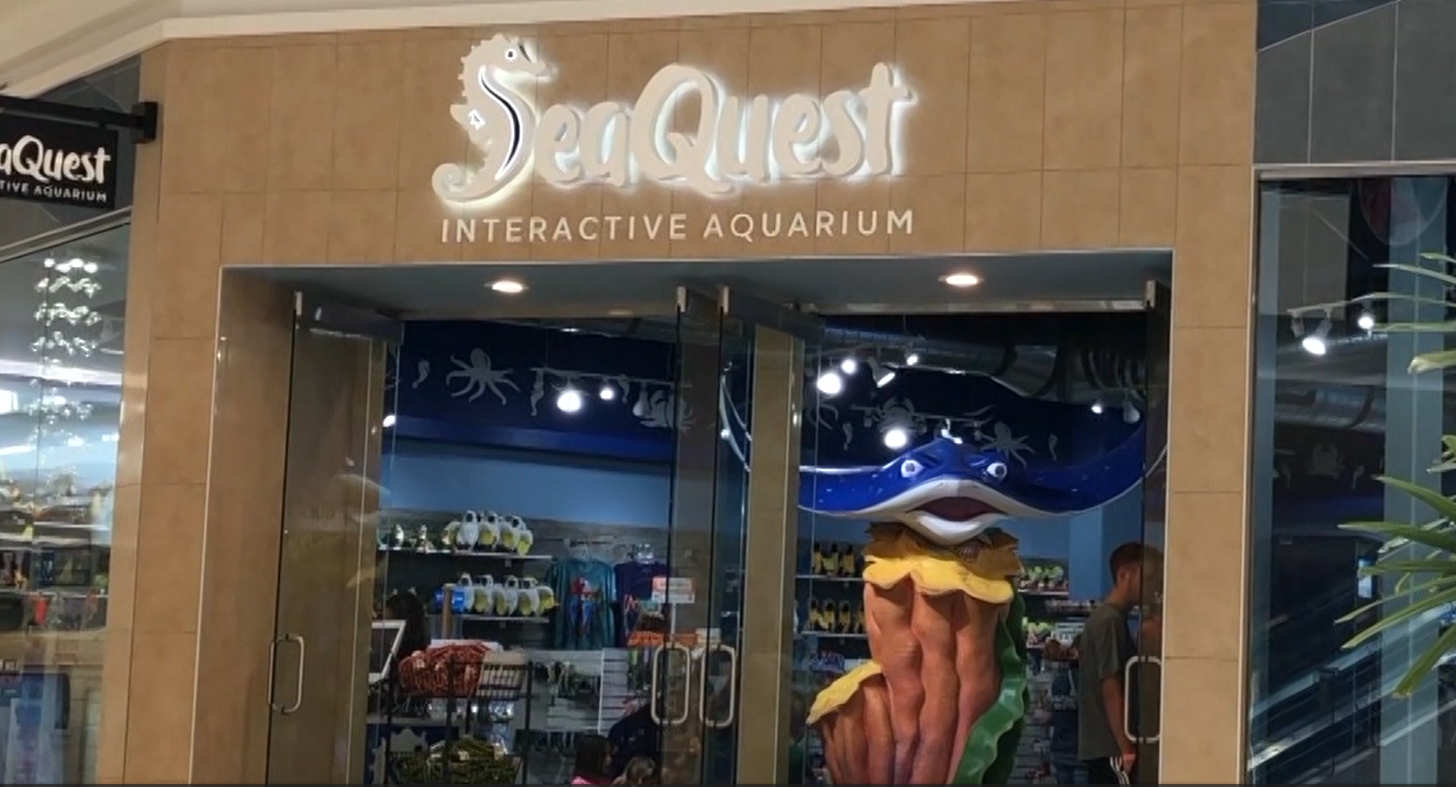 seaquest.png