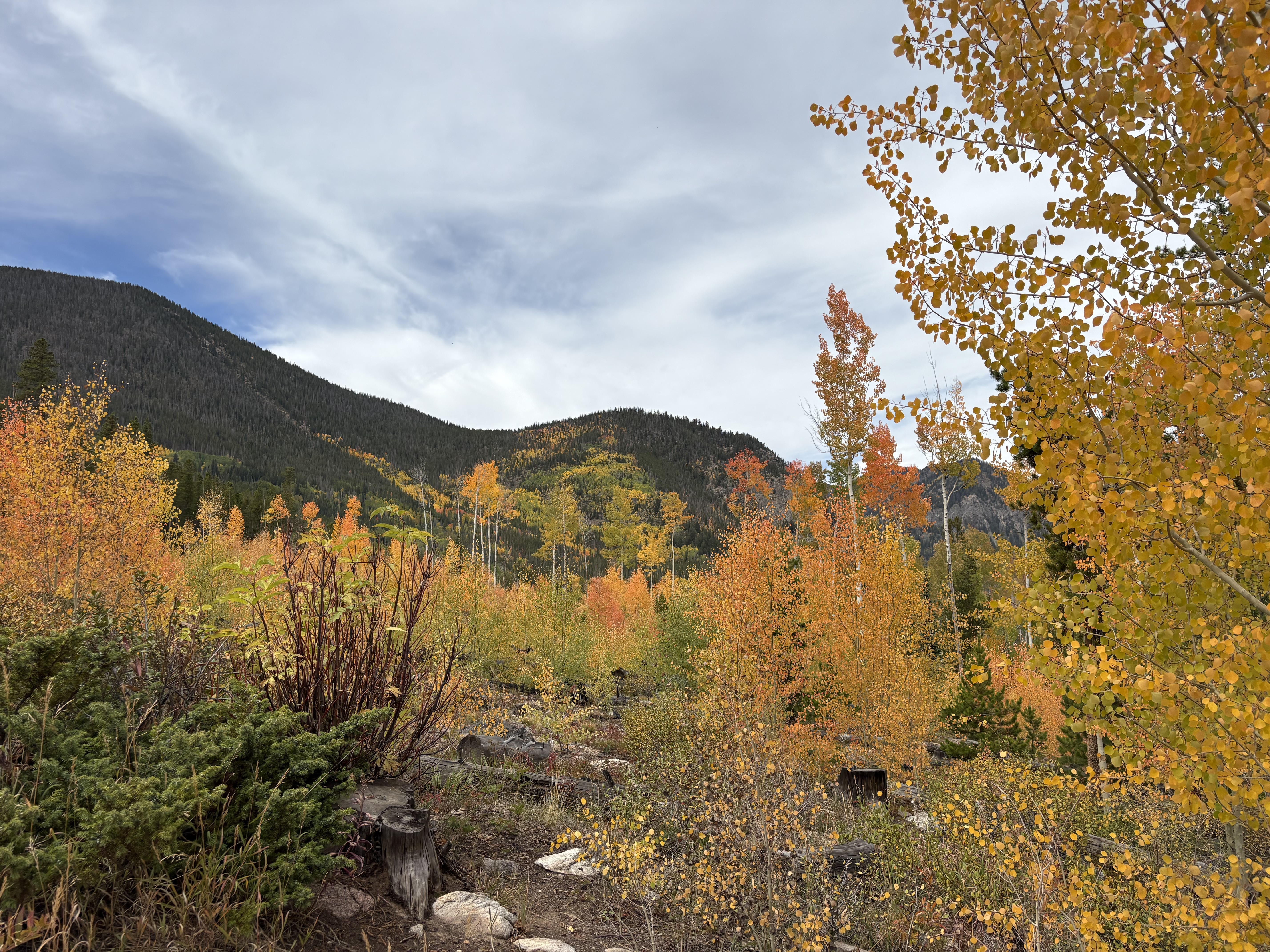 Rainbow Lake in Frisco