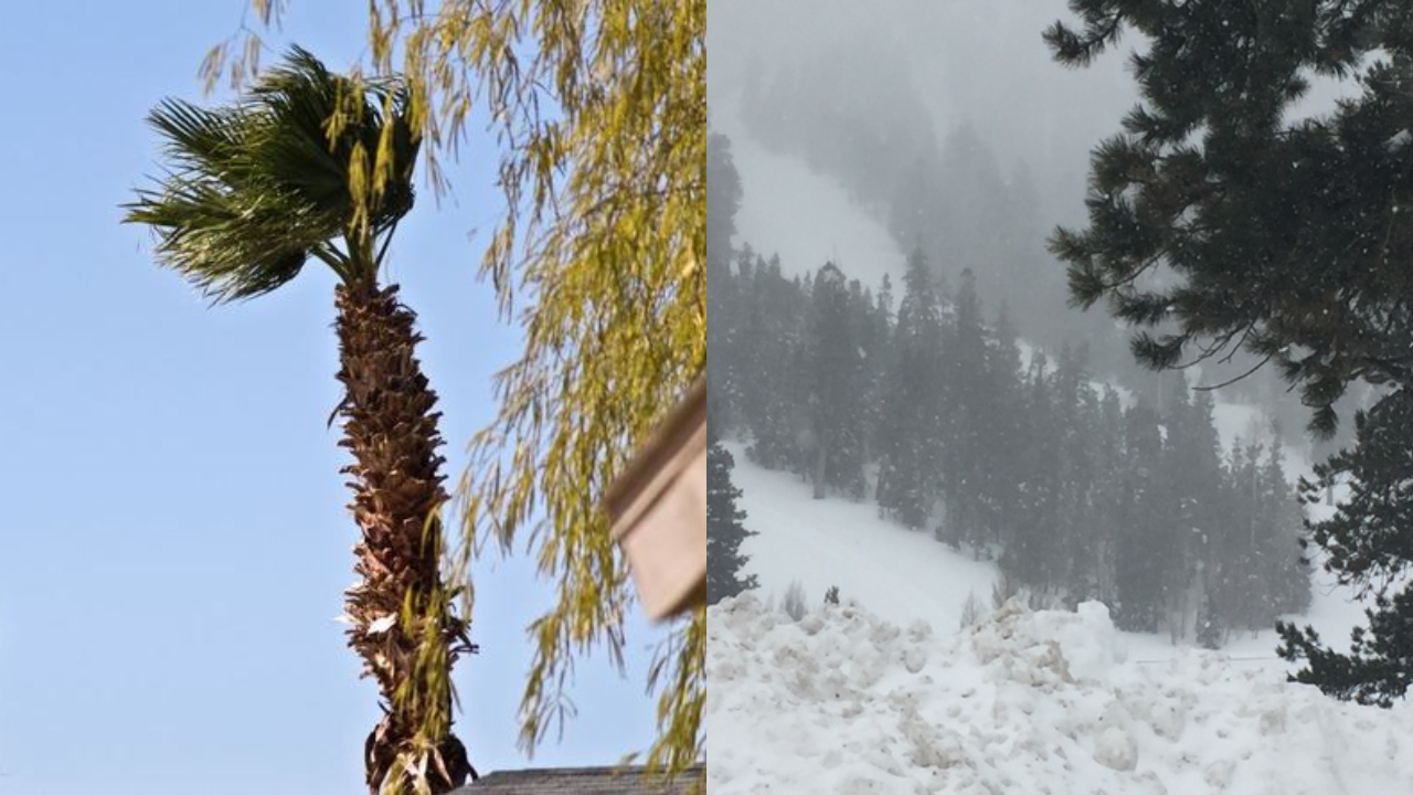 Wind Advisory and Winter Storm Warning in effect for southern Nevada counties