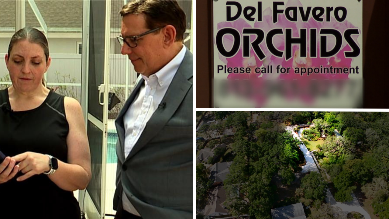 Wedding venue sues Florida neighbors over noise complaints while claiming state agritourism protection