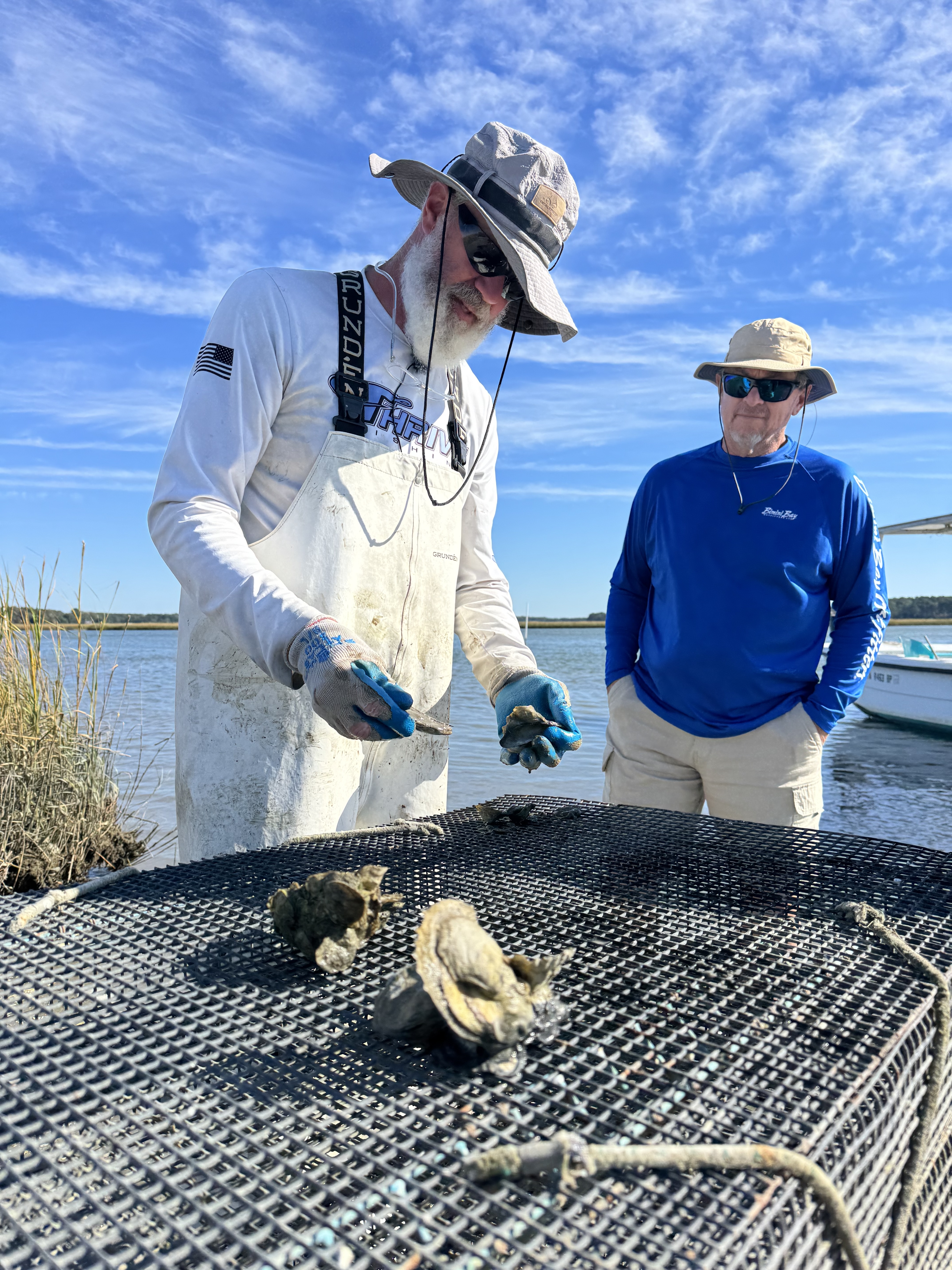 Virginia Oyster Trail