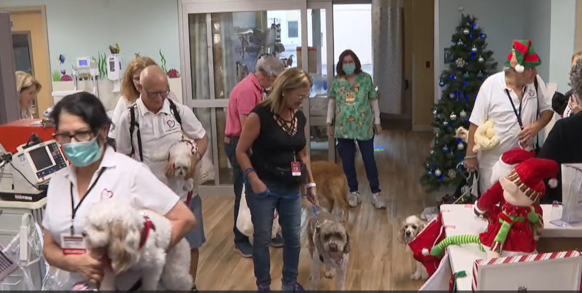 Therapy dogs at HCA Palms West Hospital. Dec. 25, 2023.png