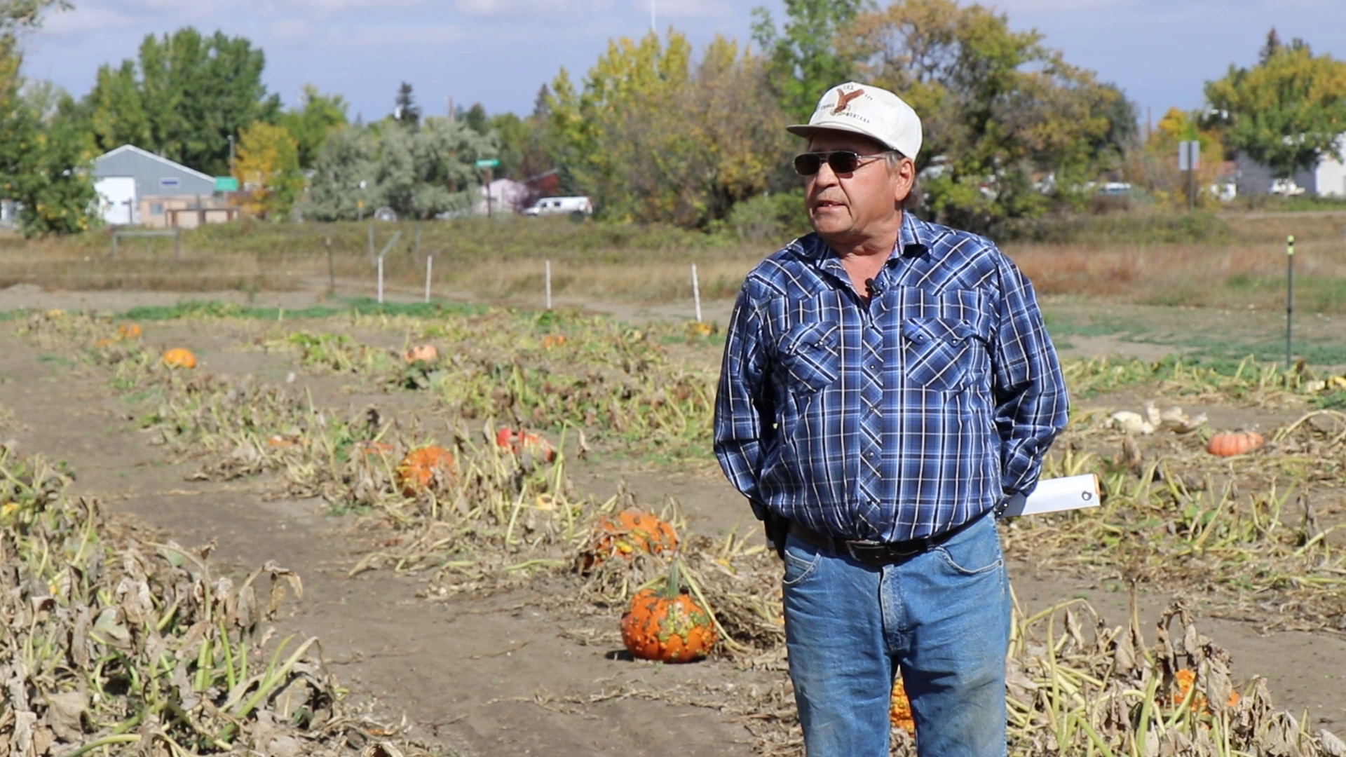 Chinook pumpkins library