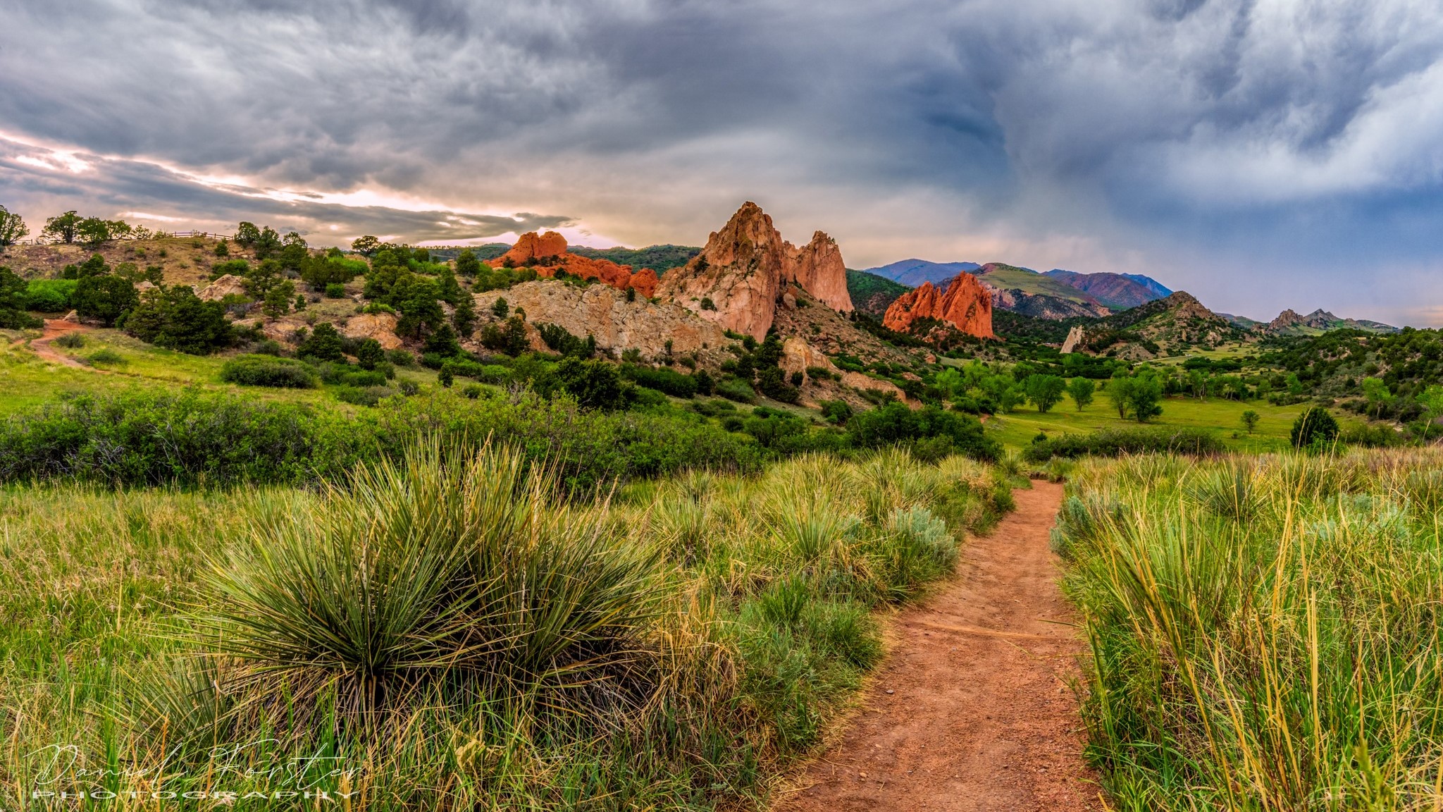 daniel forster garden of the gods