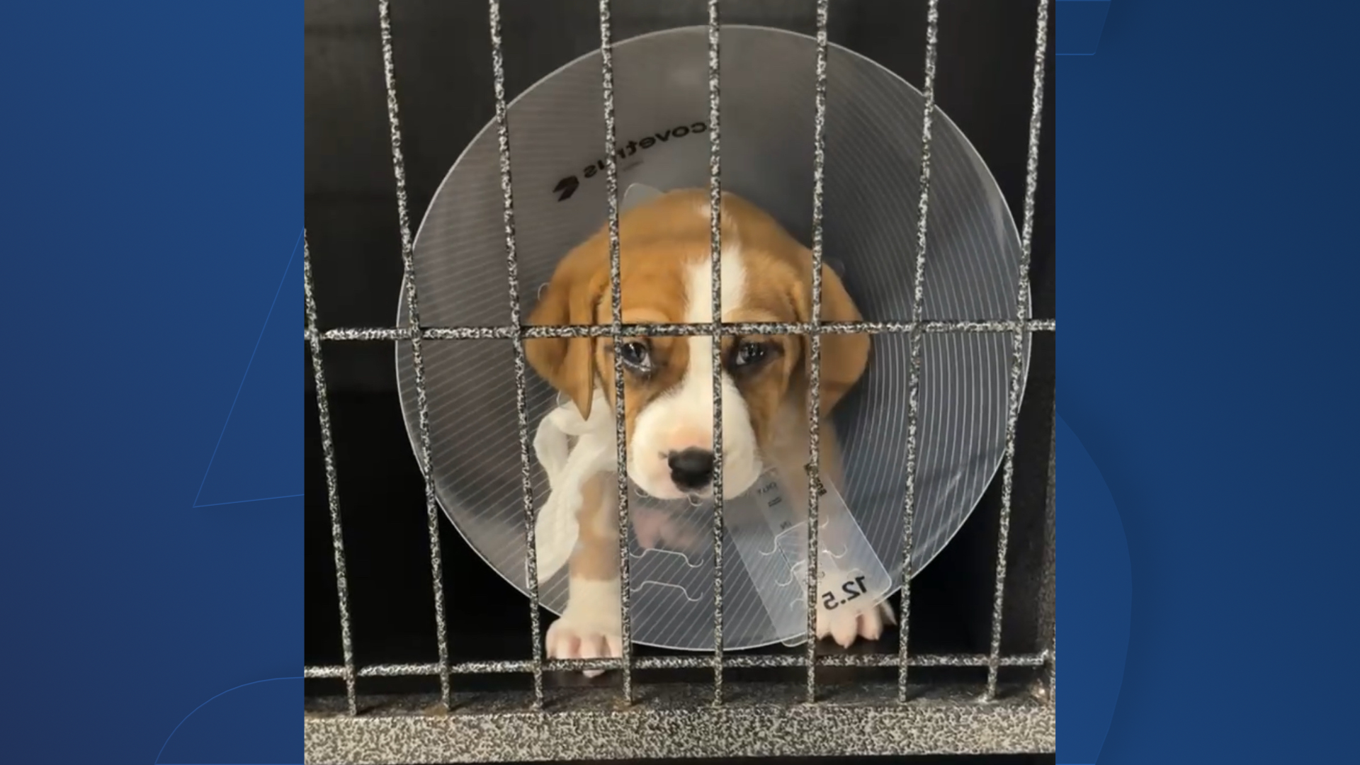 NC5 background USE THIS (4).png