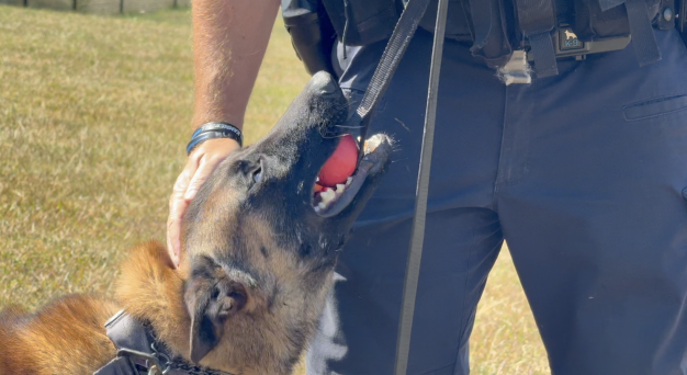 Screenshot 2025-09-12 at 6.04.23 PM.png