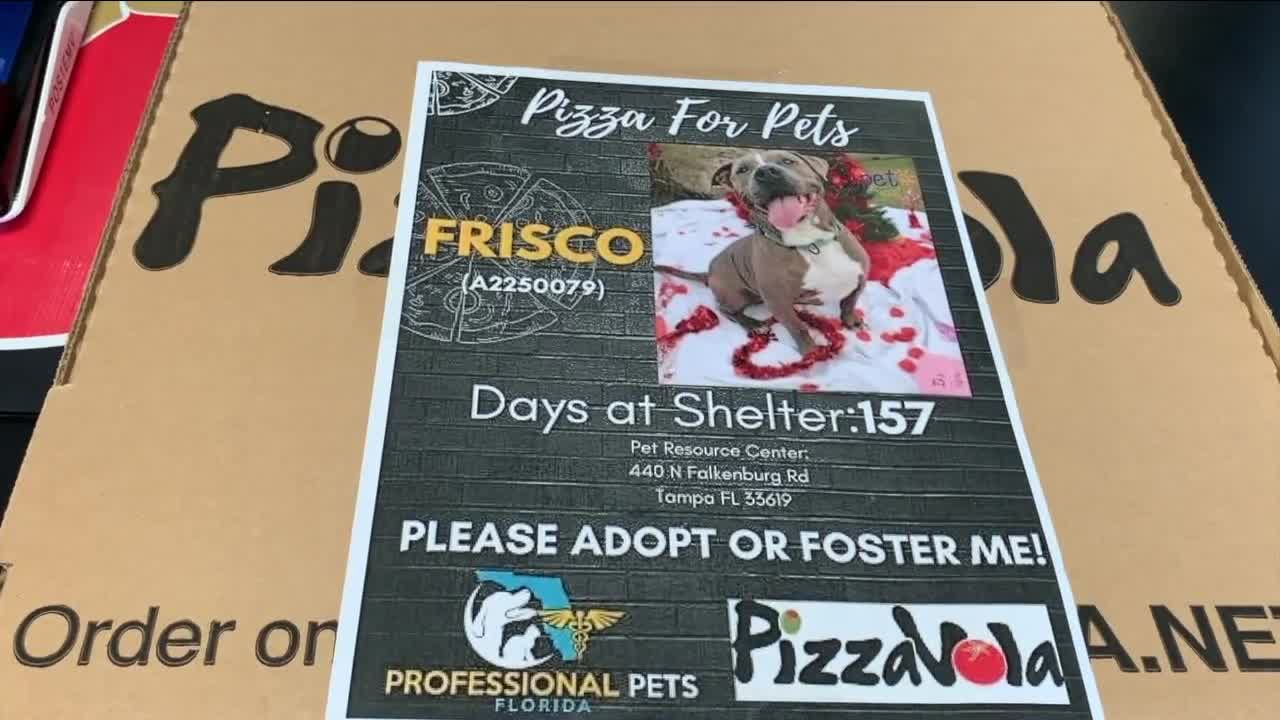 pizza for pets.png