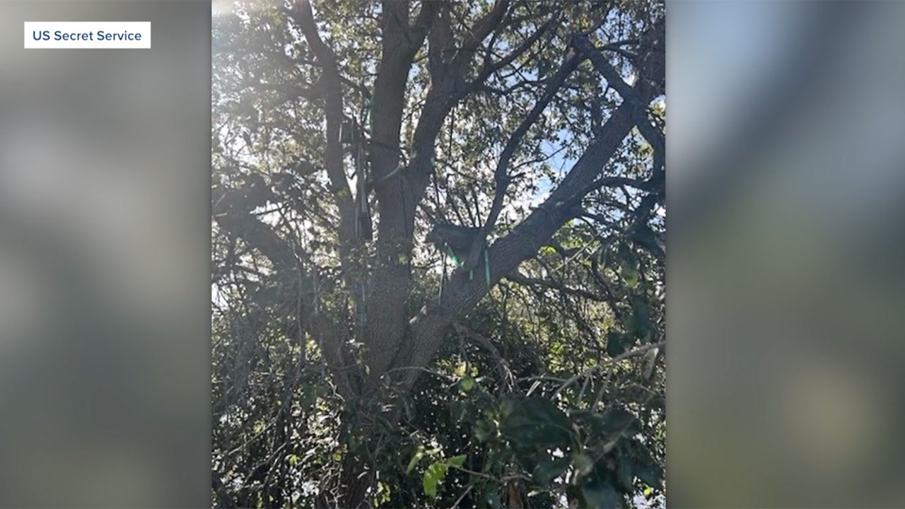 The Secret Service released a photo of what they called a "hunting stand" that they discovered with a direct line of sight to where Air Force One parks at Palm Beach International Airport.