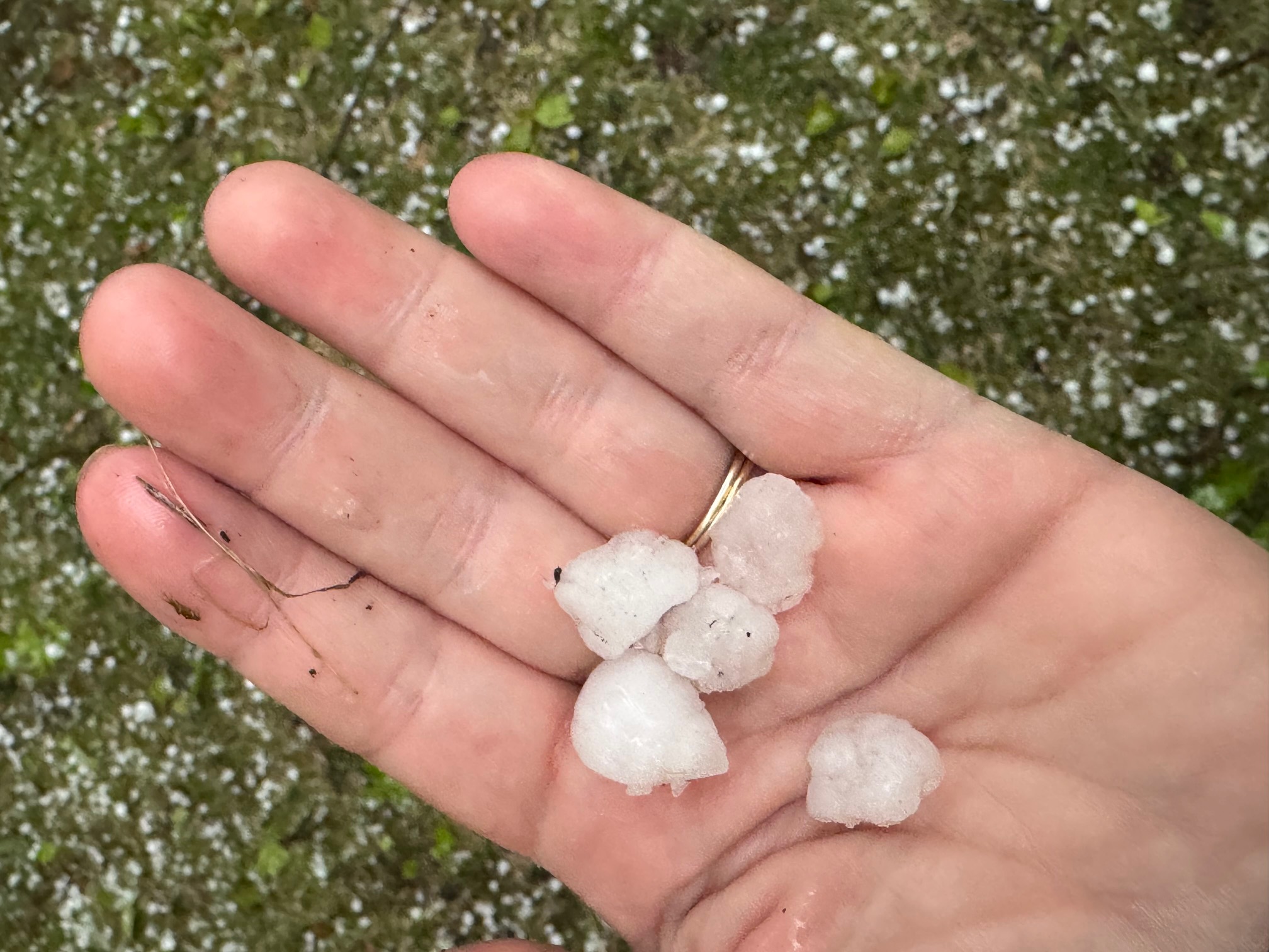 Howard City hail Wendy Wise.jpg