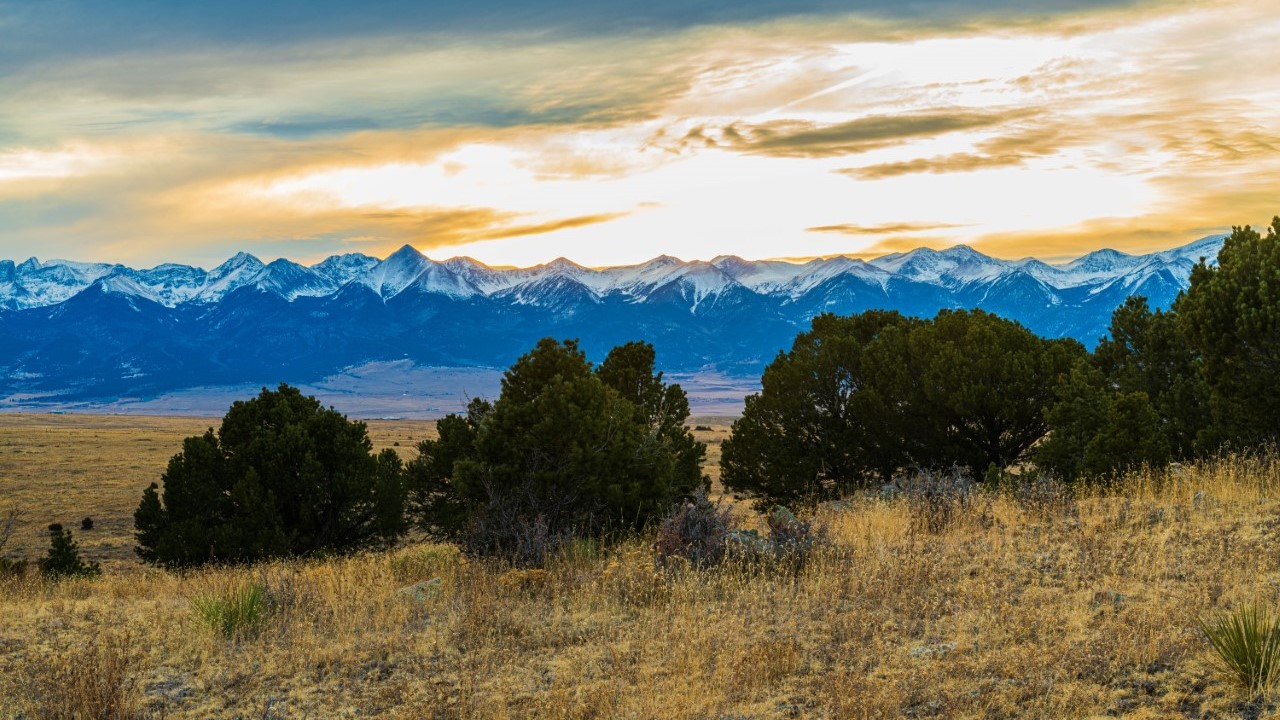 Steve Shugart_Sangres_121922.jpg