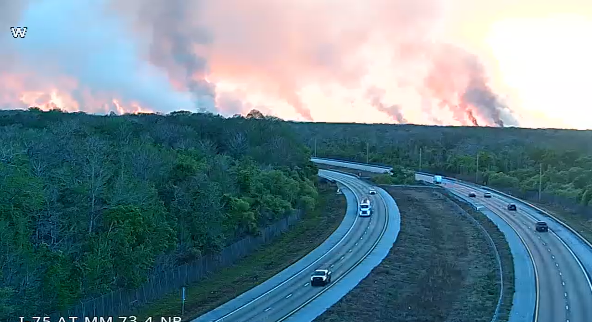 Big Cypress Preserve fire