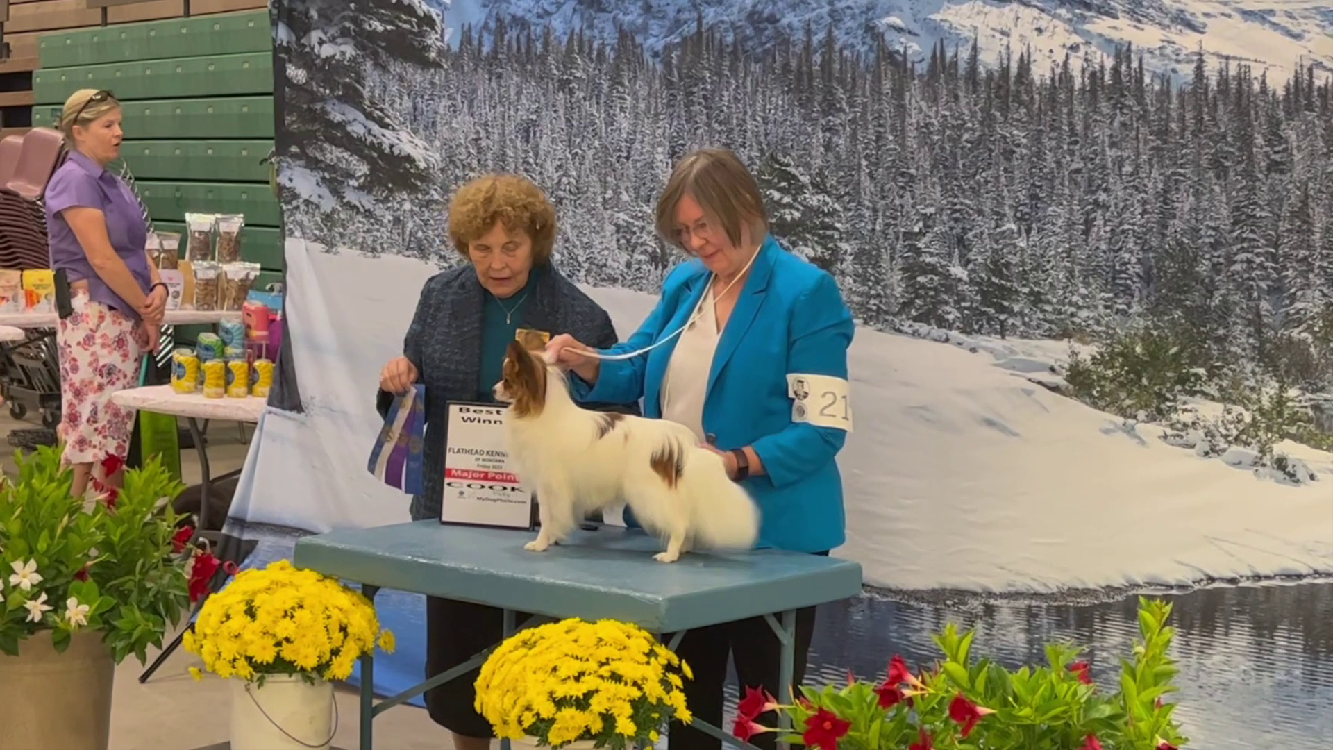 Great Falls hosts dog show