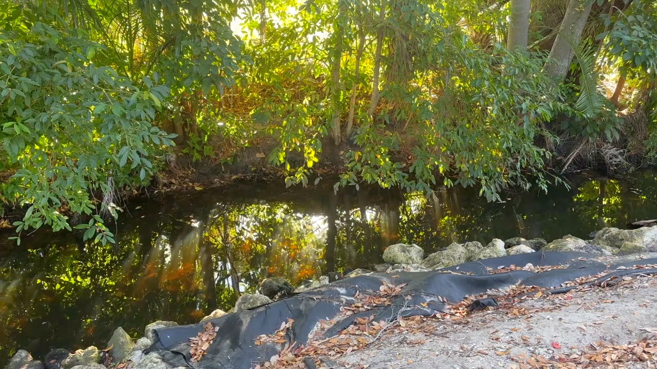 MANUEL'S BRANCH THUNBNAIL.jpg