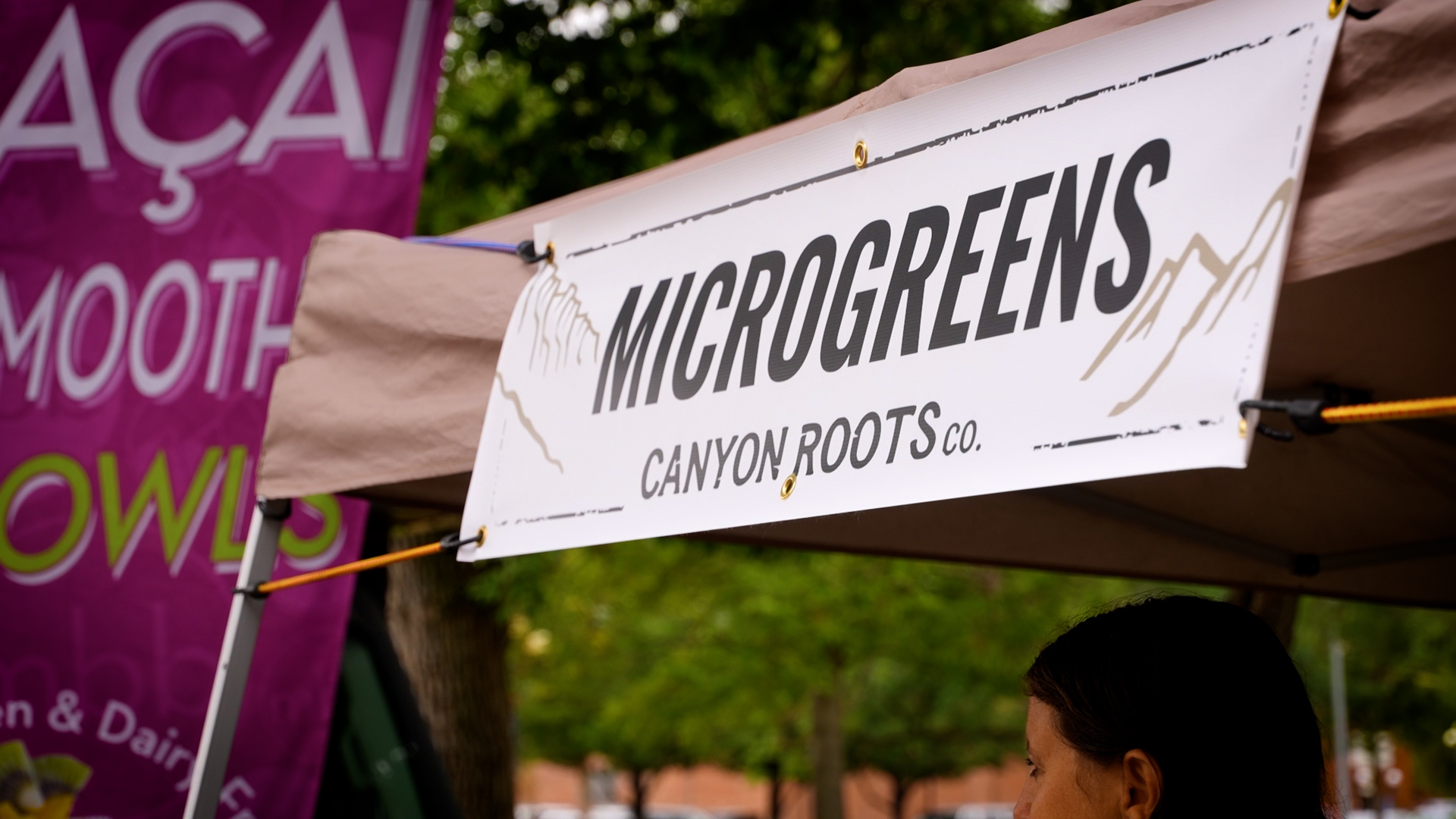 MICROGREENS CLOSE.jpg