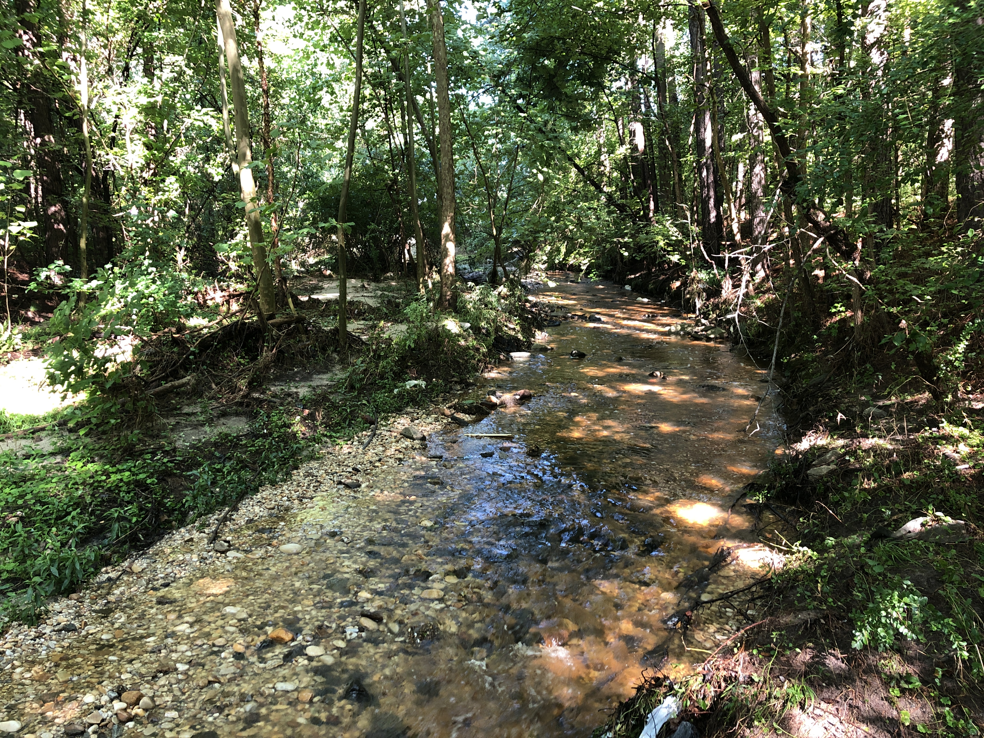 Future Public Park in Richmond’s Southside
