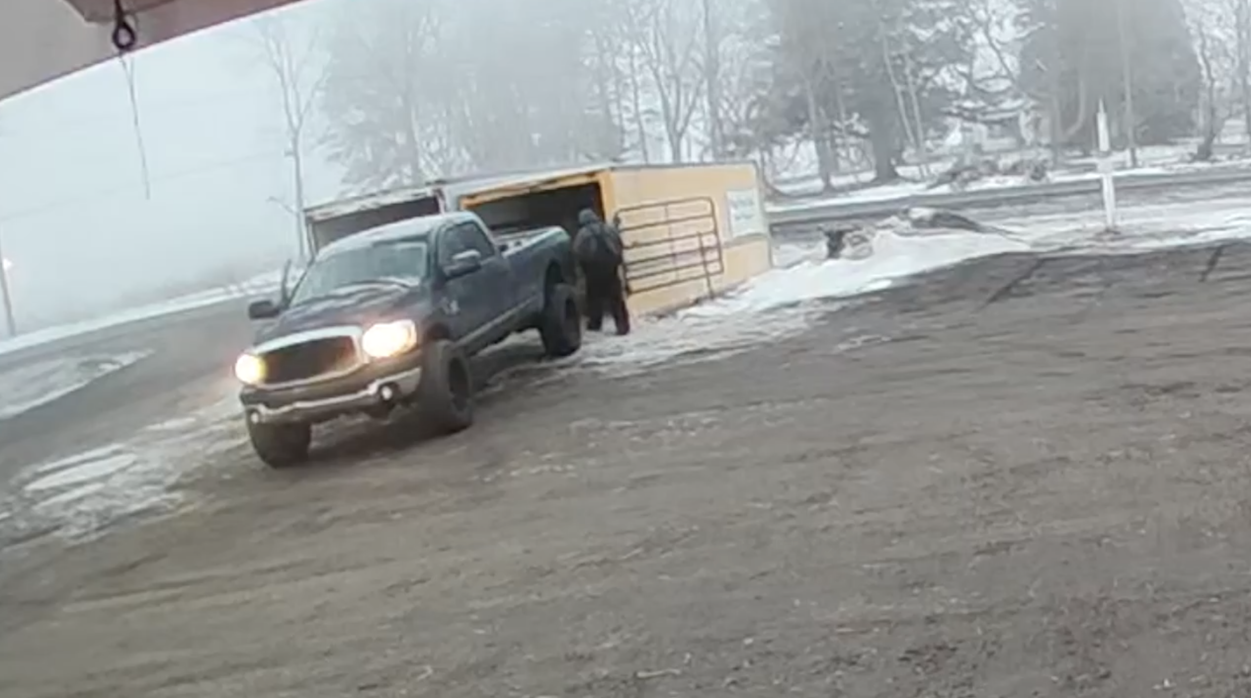 Screenshot 2026-02-20 at 6.11.22 PM.png