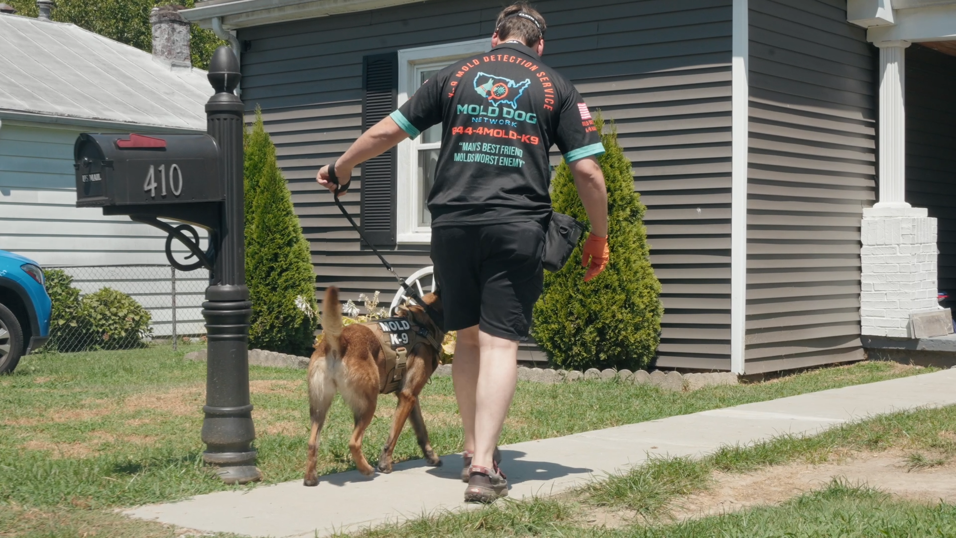 Fast, reliable mold detection with Mold Dog Network