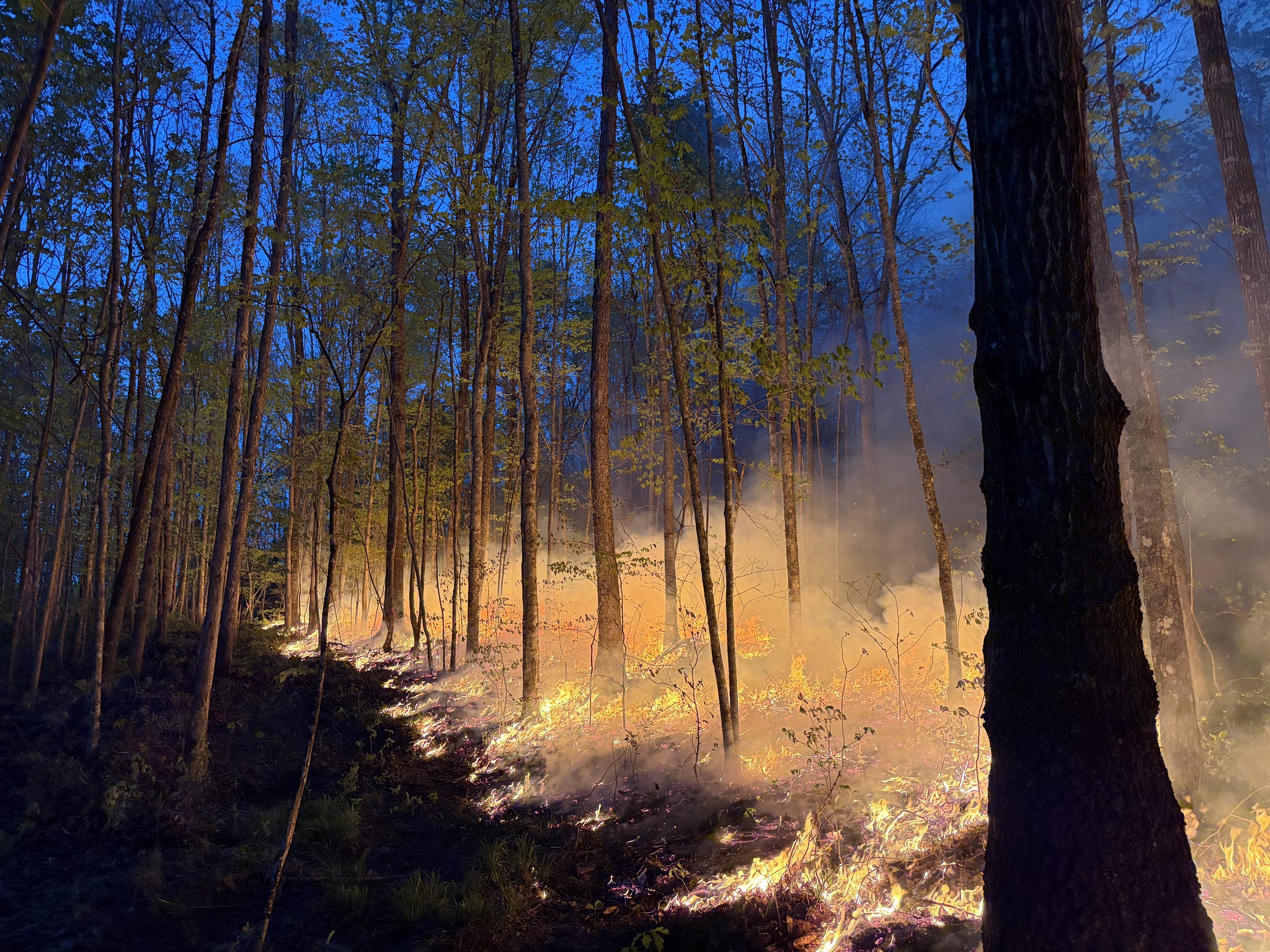 Photo of McCreary County Alum Fire