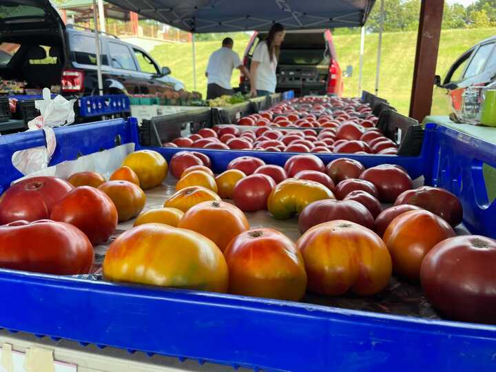 Farmers market.jpg