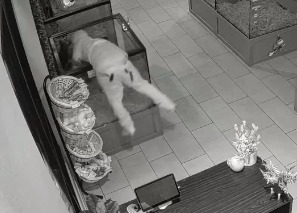 Burglary suspects accused of stealing puppies