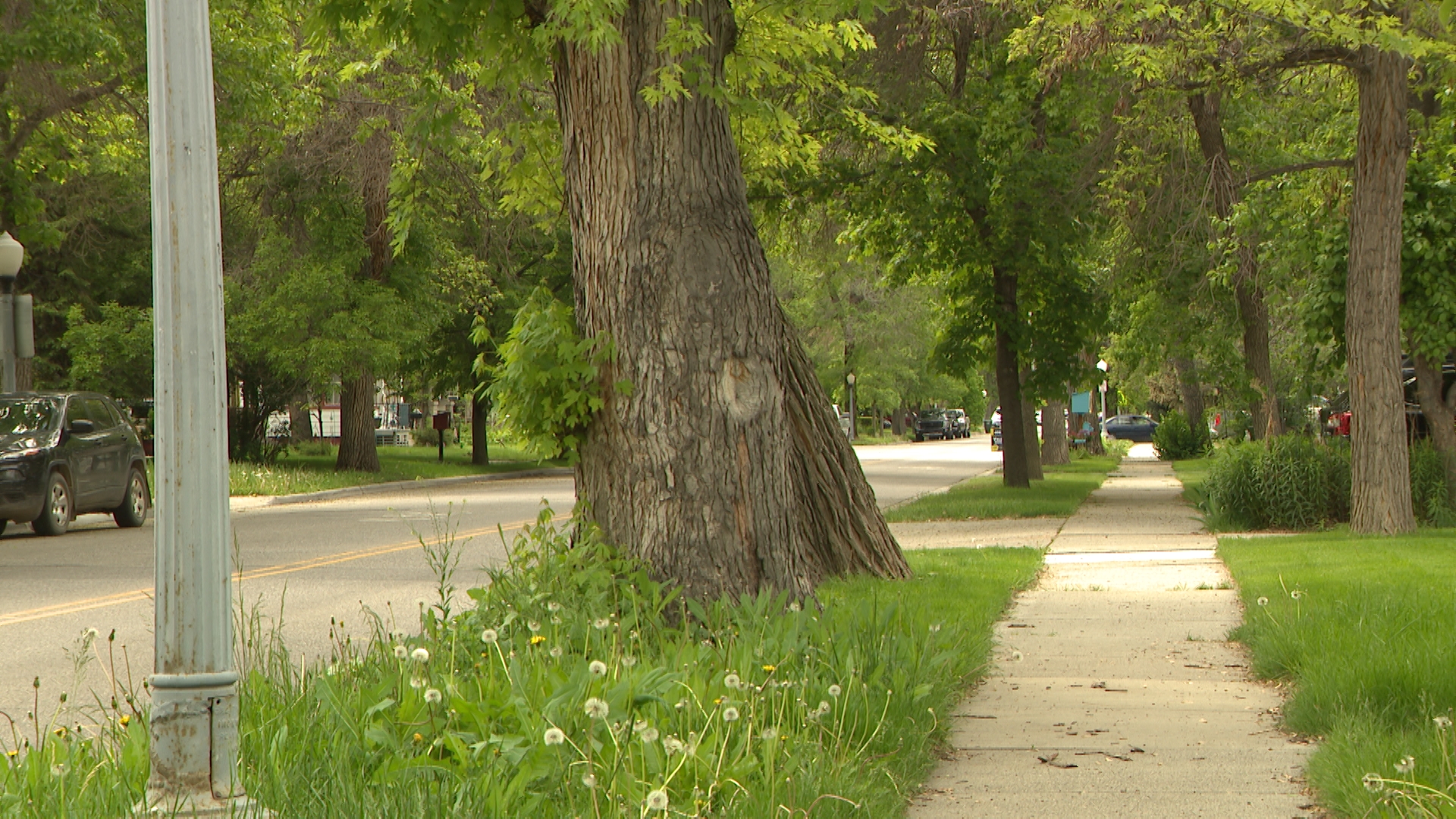 Still 2025-05-19 212434_1.17.1.jpg