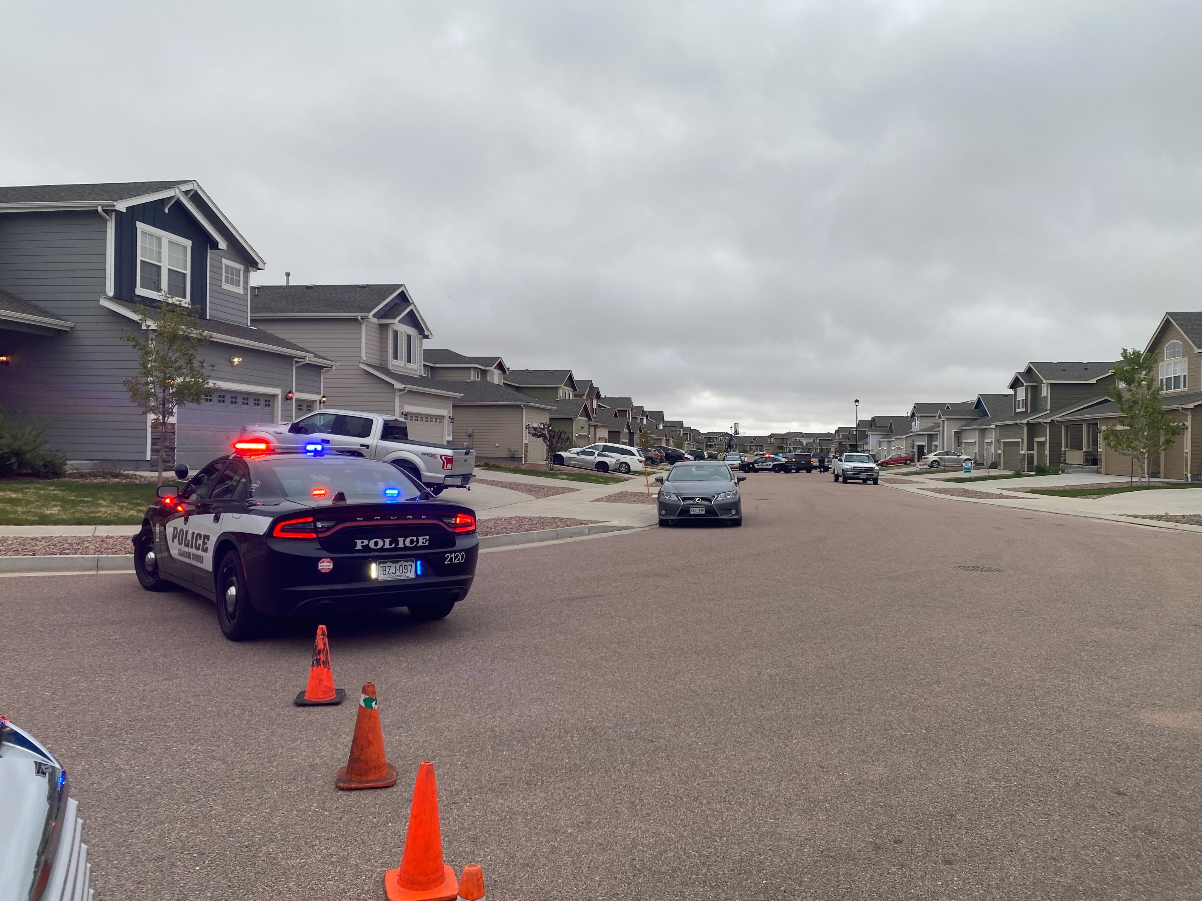 Black forest suspicious incident