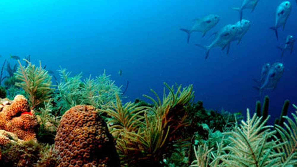 Florida Keys National Marine Sanctuary