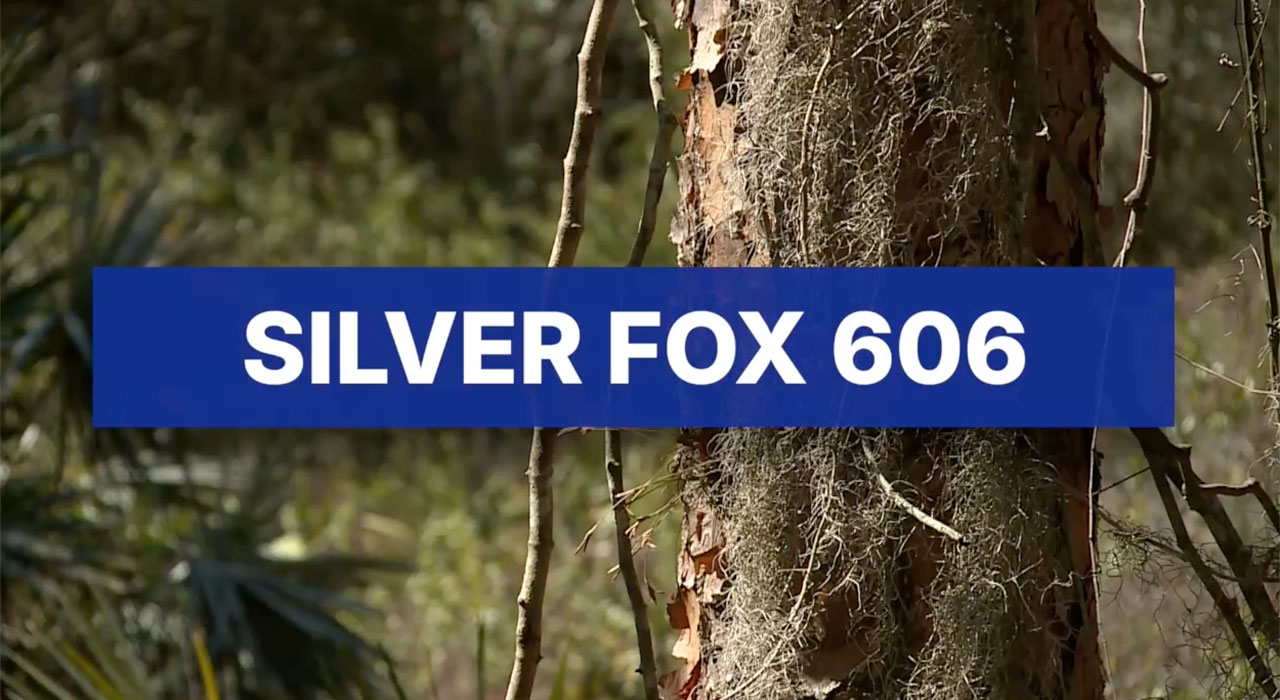 Indiantown data center 