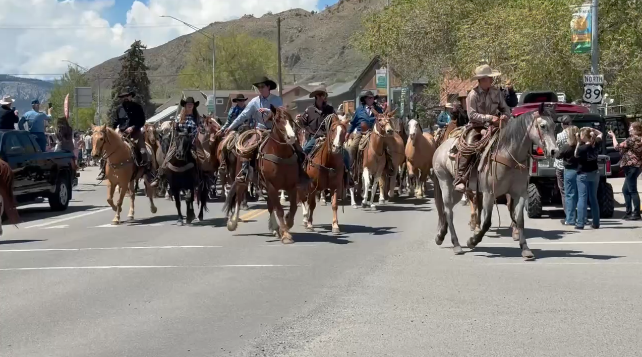 Hell's A-Roaring Horse Drive, 2025