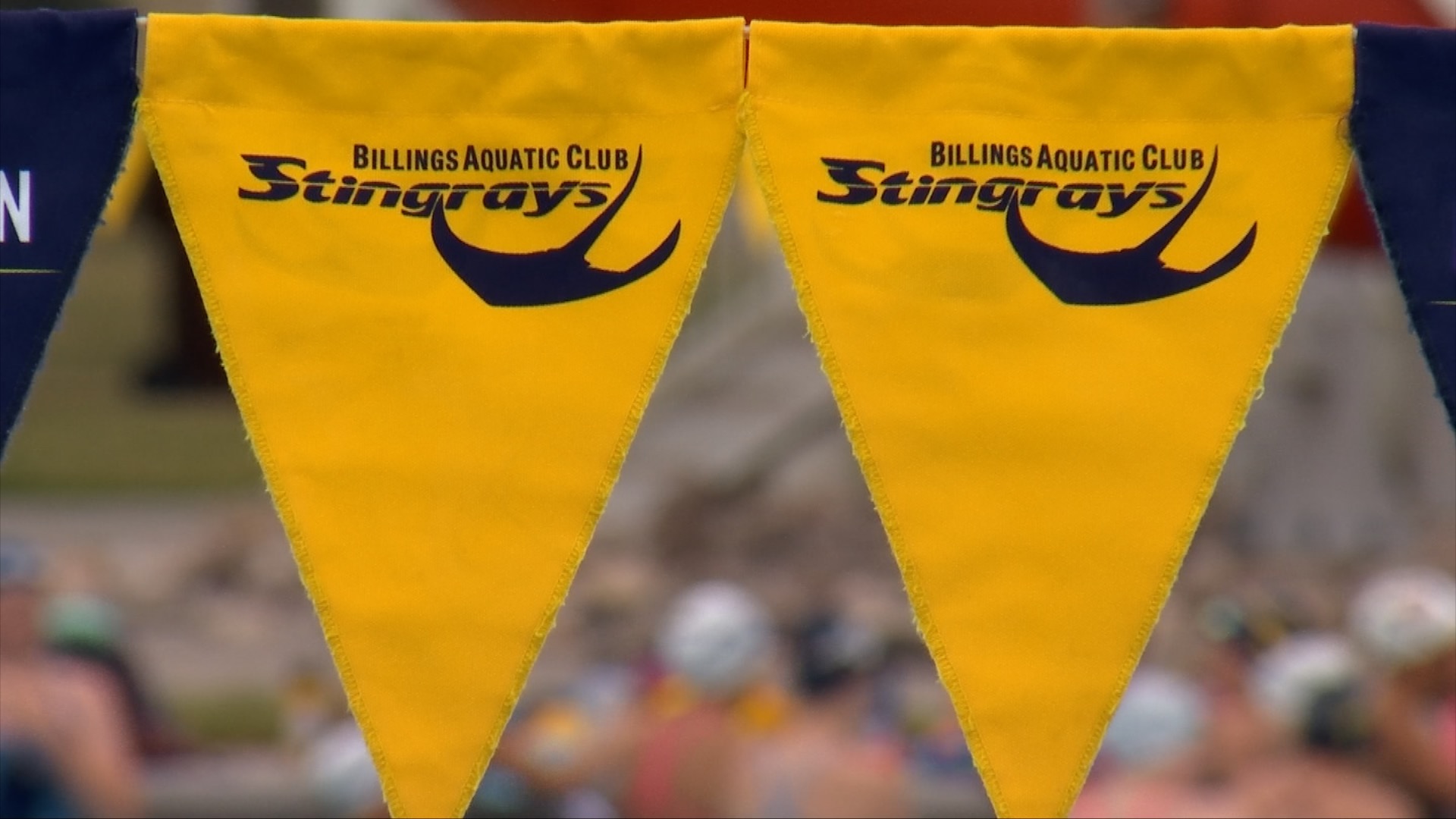 BAC flags