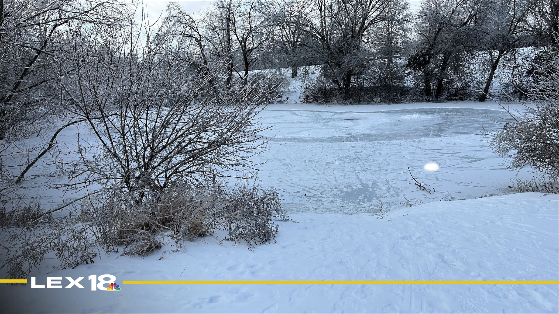 mugshot template  - 2026-01-28T074116.956.png