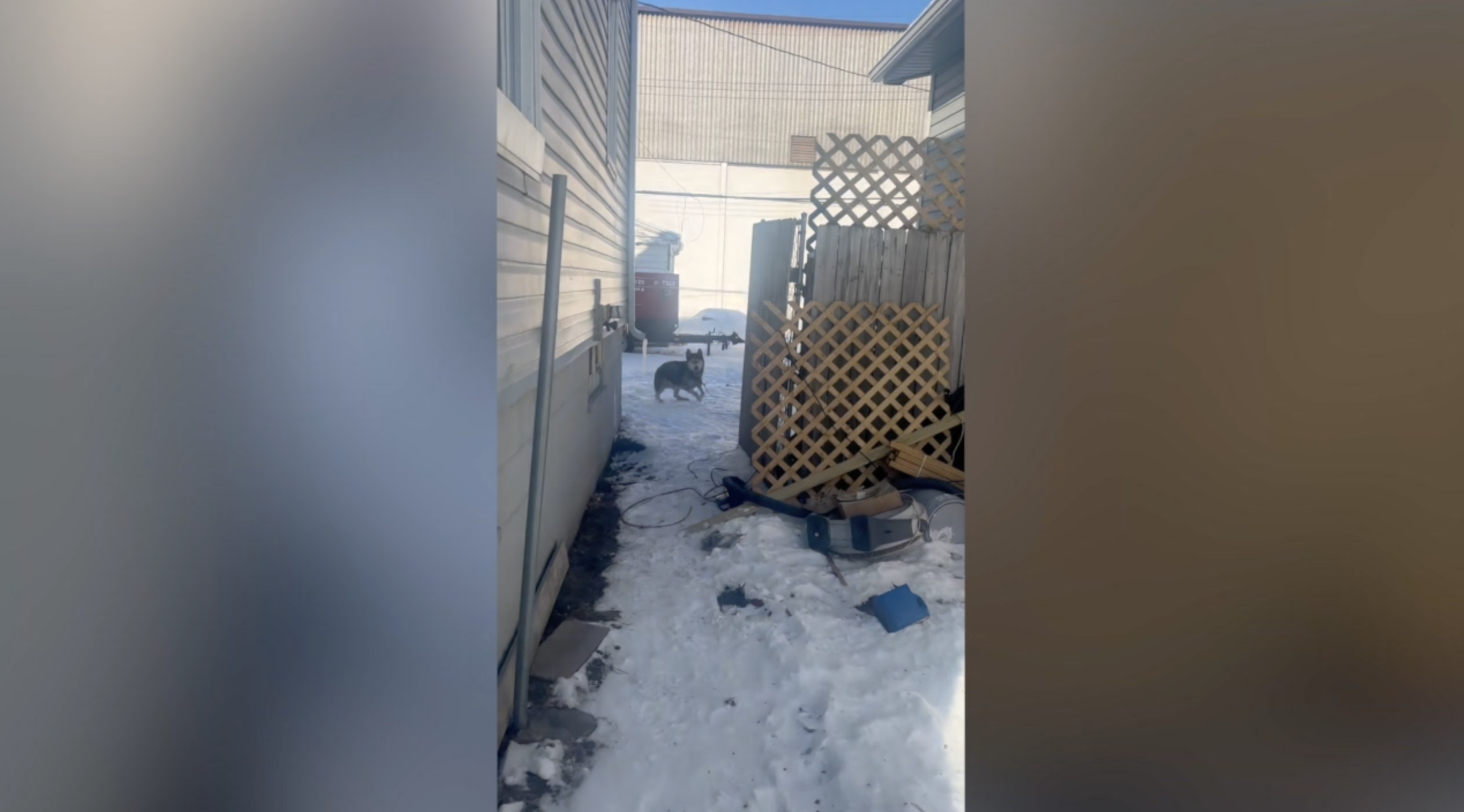 Screenshot 2026-01-23 at 7.07.05 PM.png