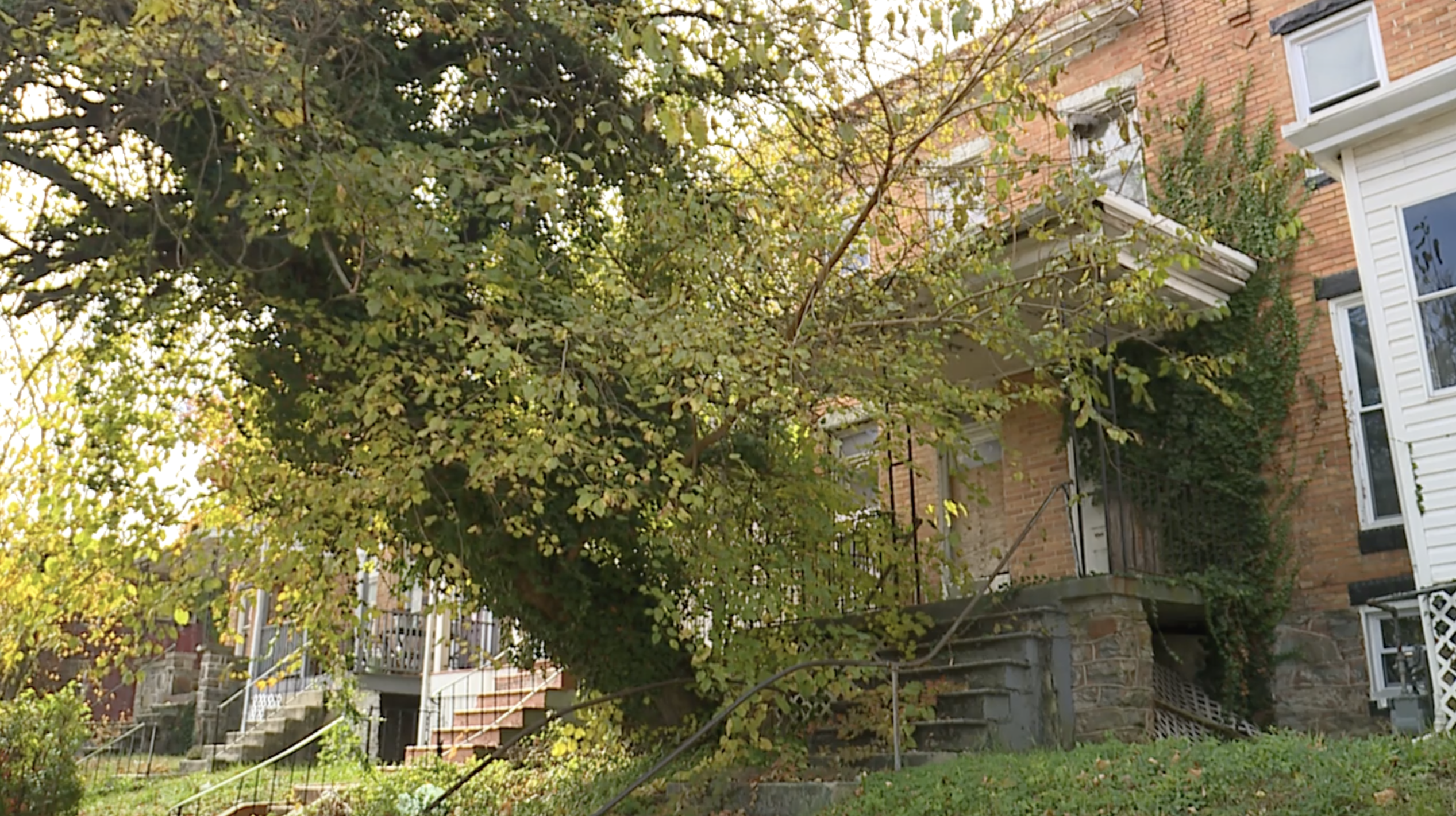 Screenshot 2025-11-03 at 4.56.43 PM.png