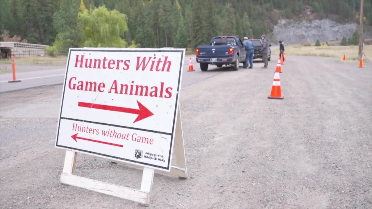 Resident vs. non-resident hunting