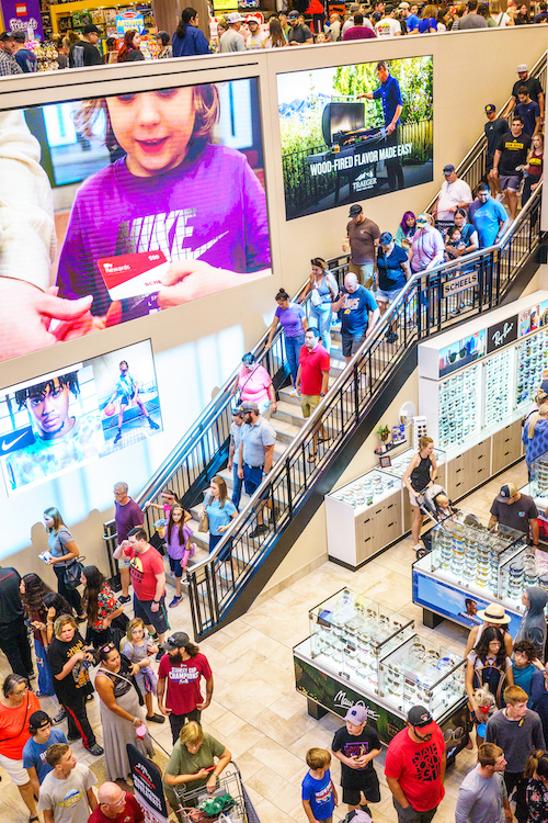 Scheels.jpg