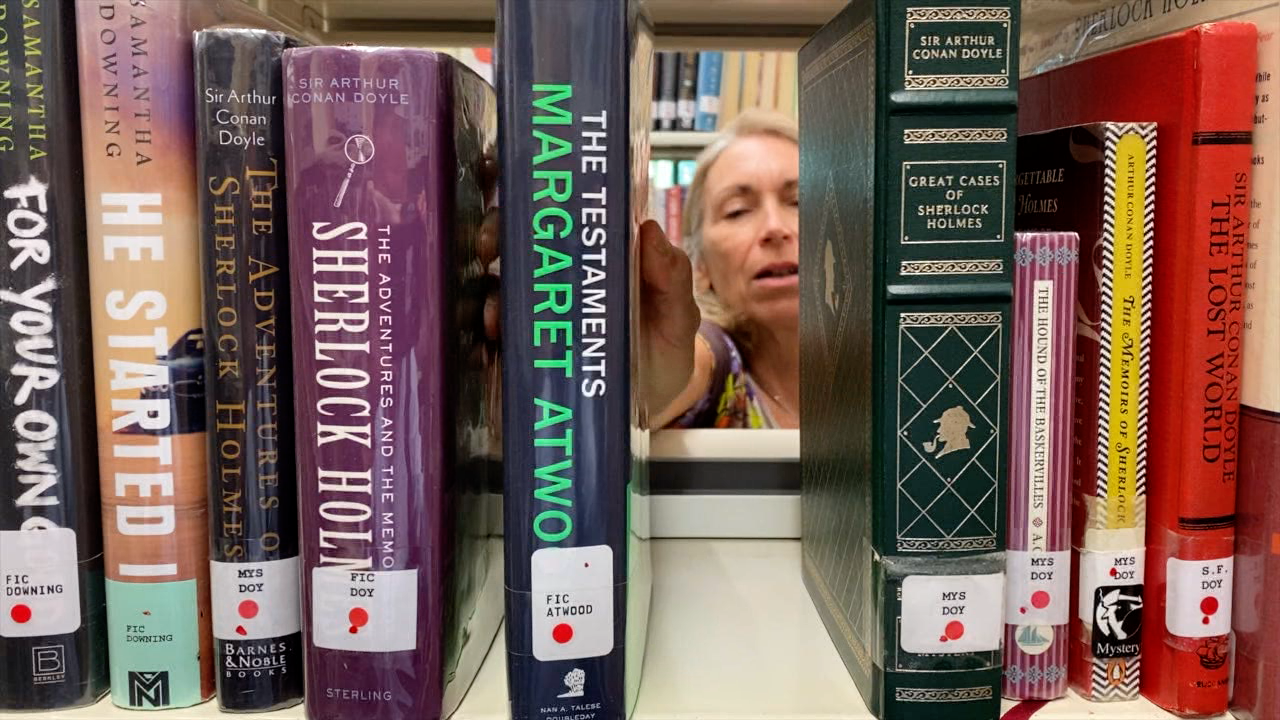 Safety Harbor Library.png